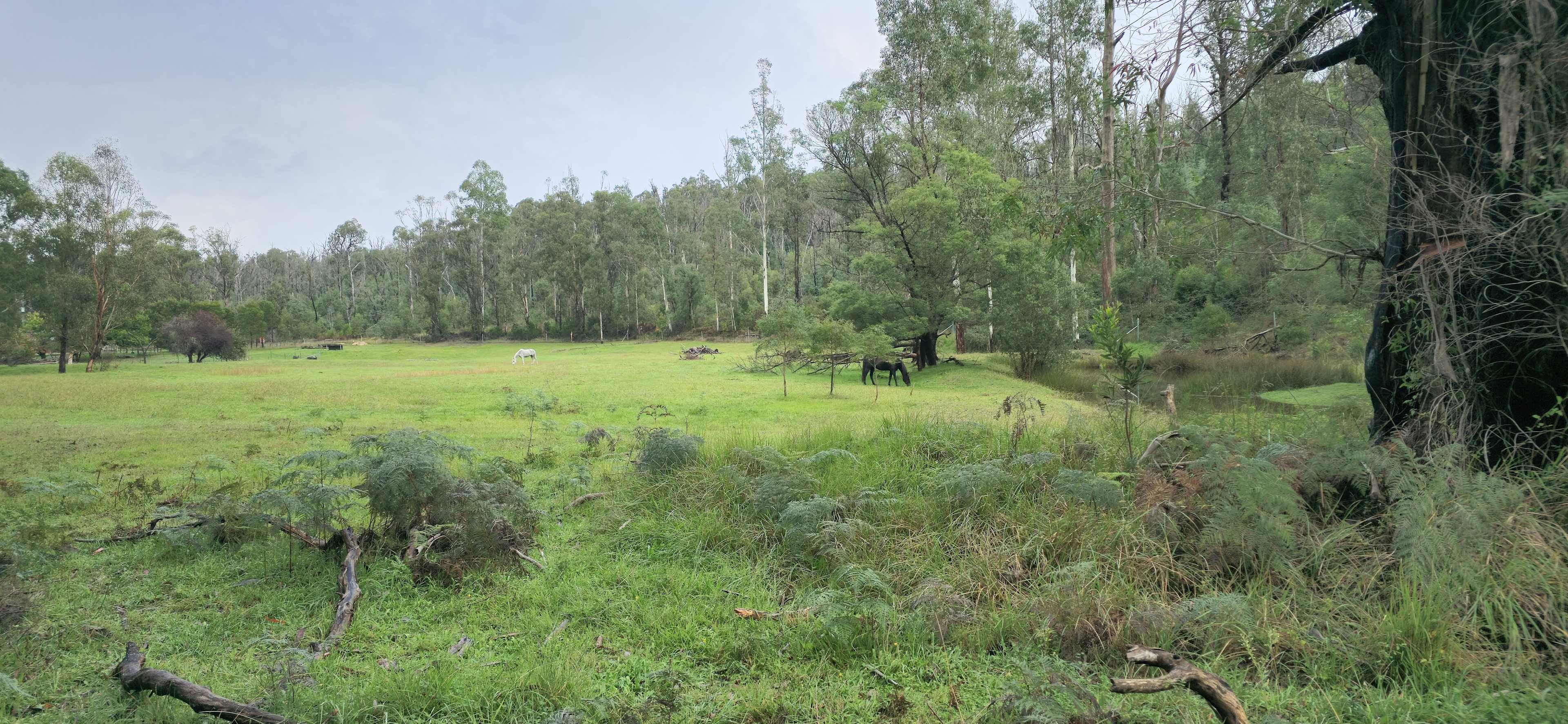 Kanukadale Forest River Retreat