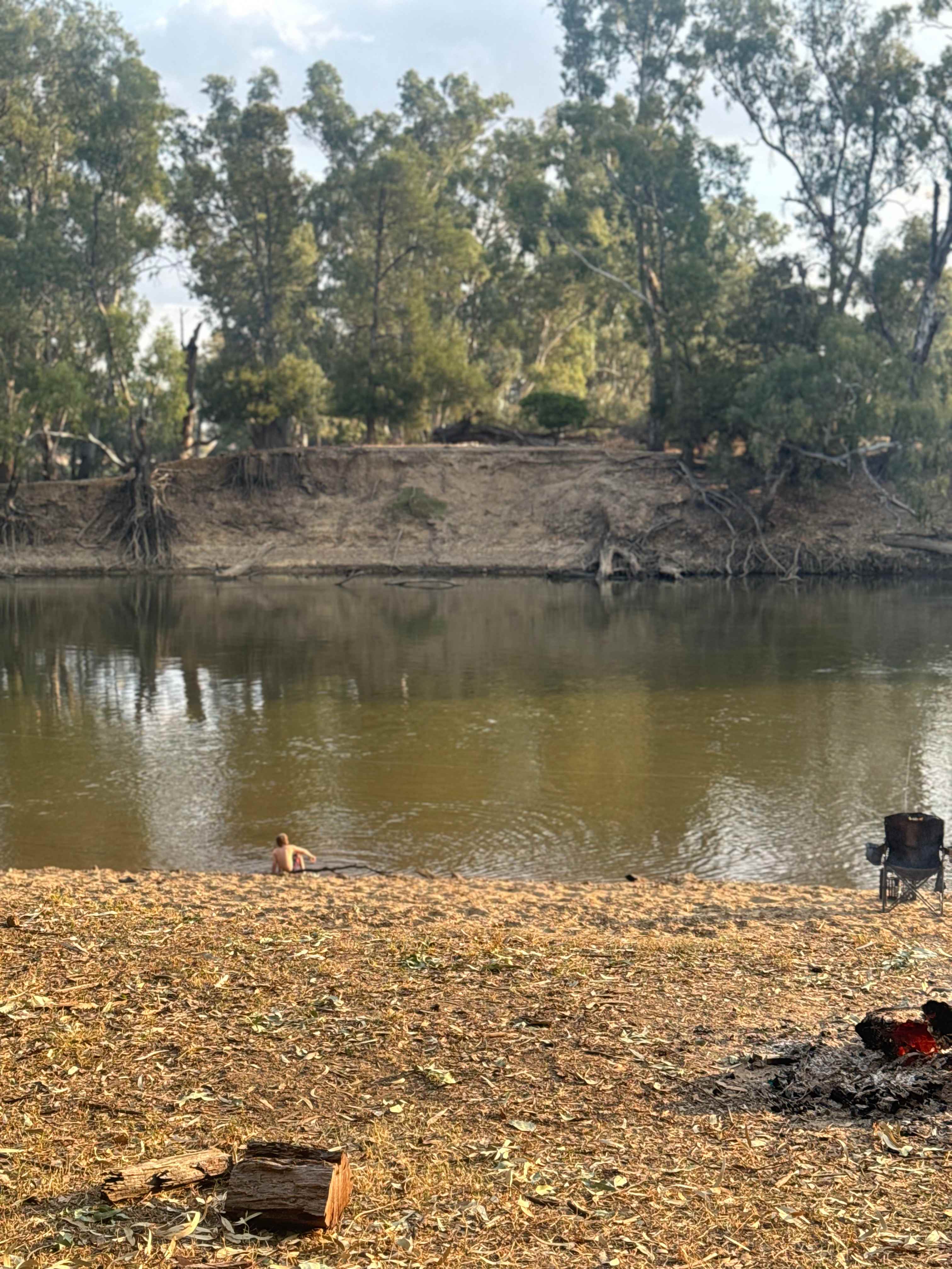 Palm Cove On The Murrumbidgee