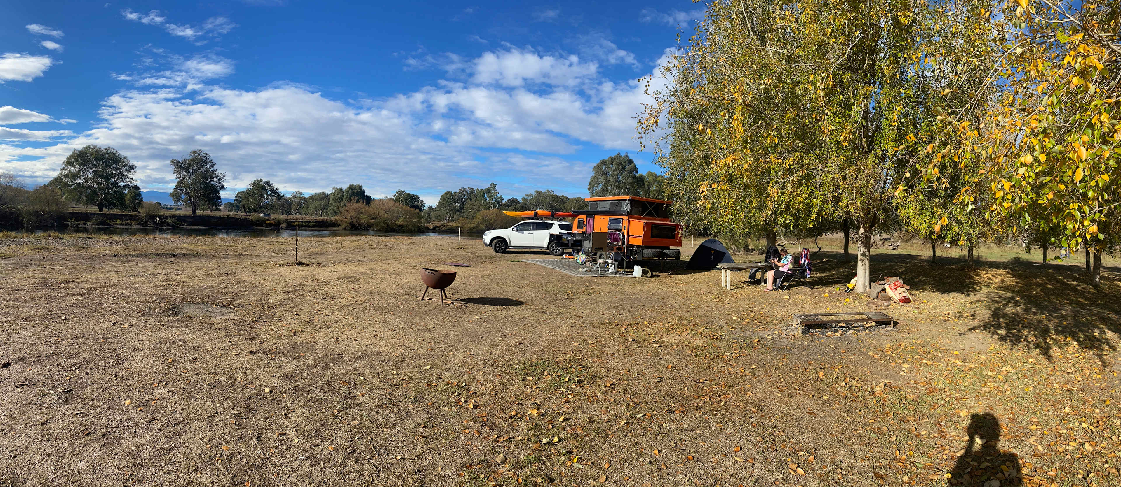 Poplar trees facing camp to the water 