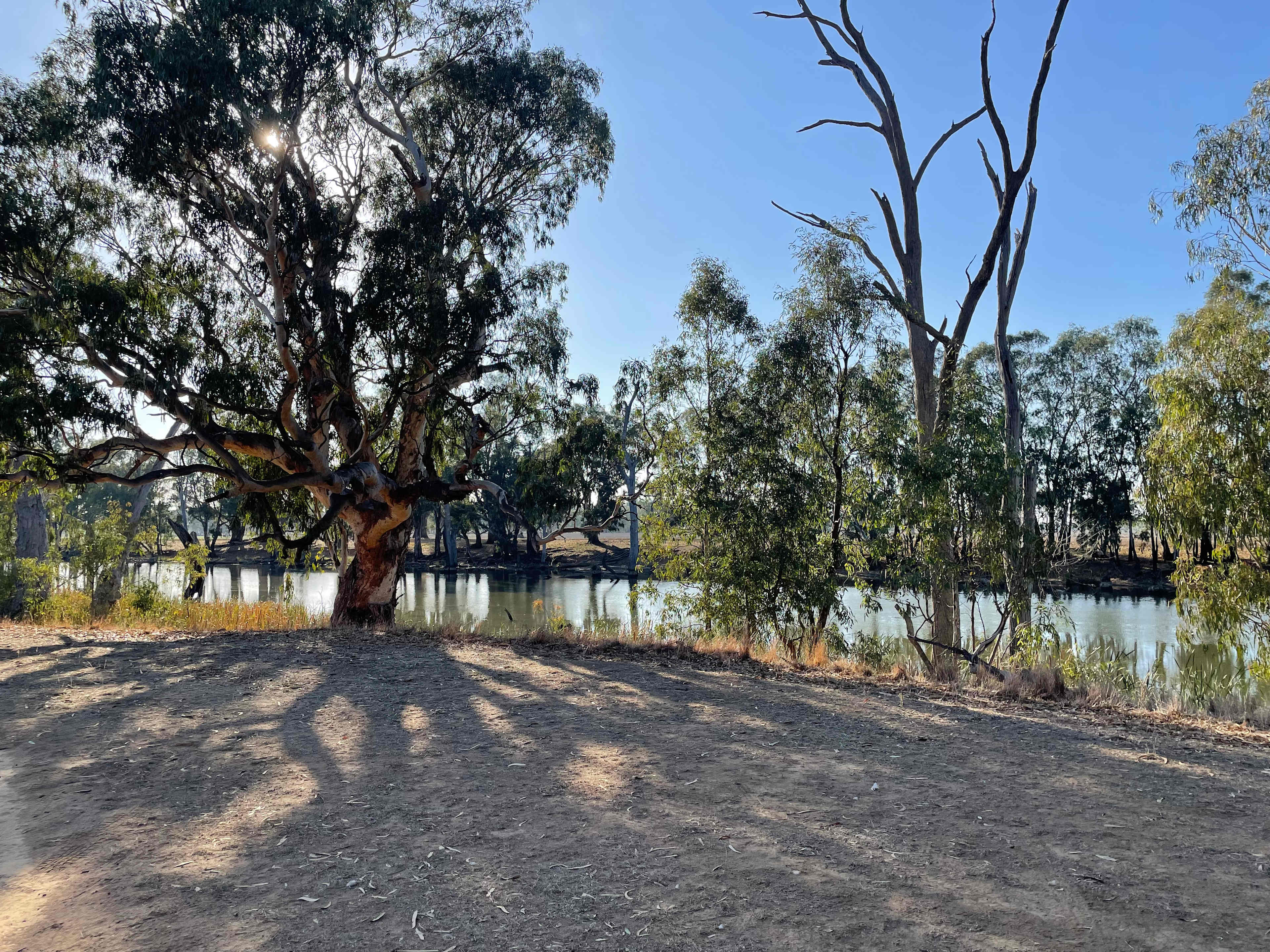 Cudgella on Bundidgerry Creek