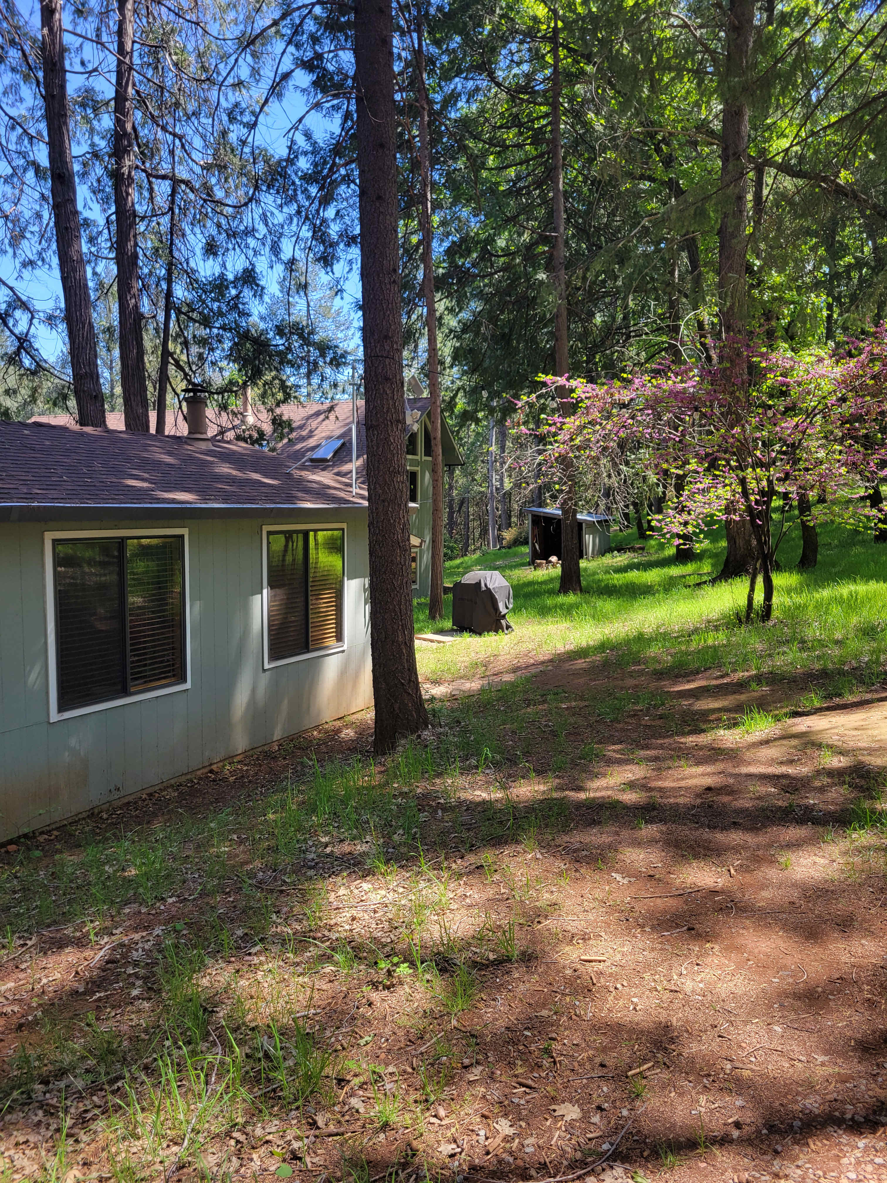 Little House in the Big Woods