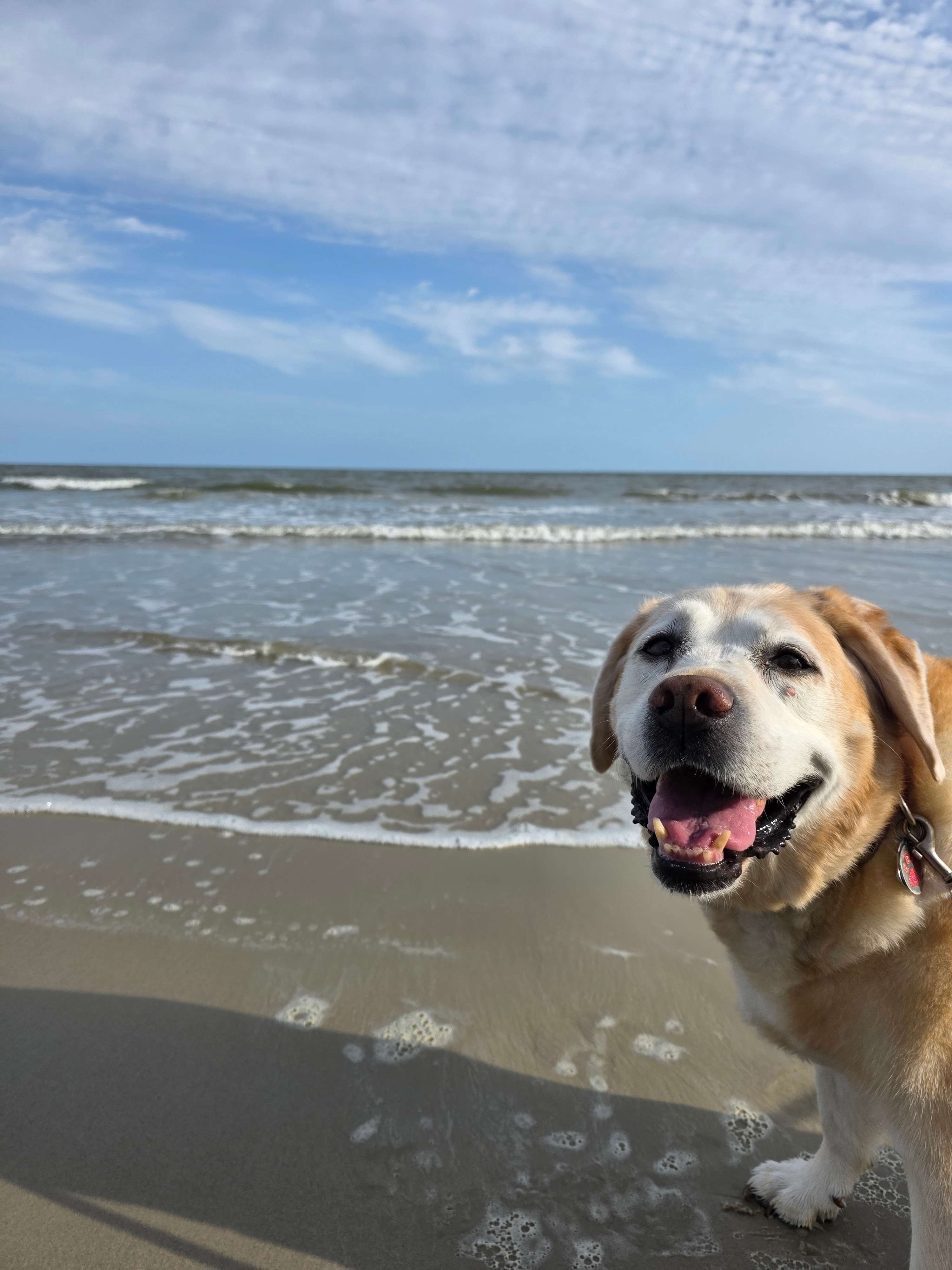Rosie appreciated the direct access to the Gulf.