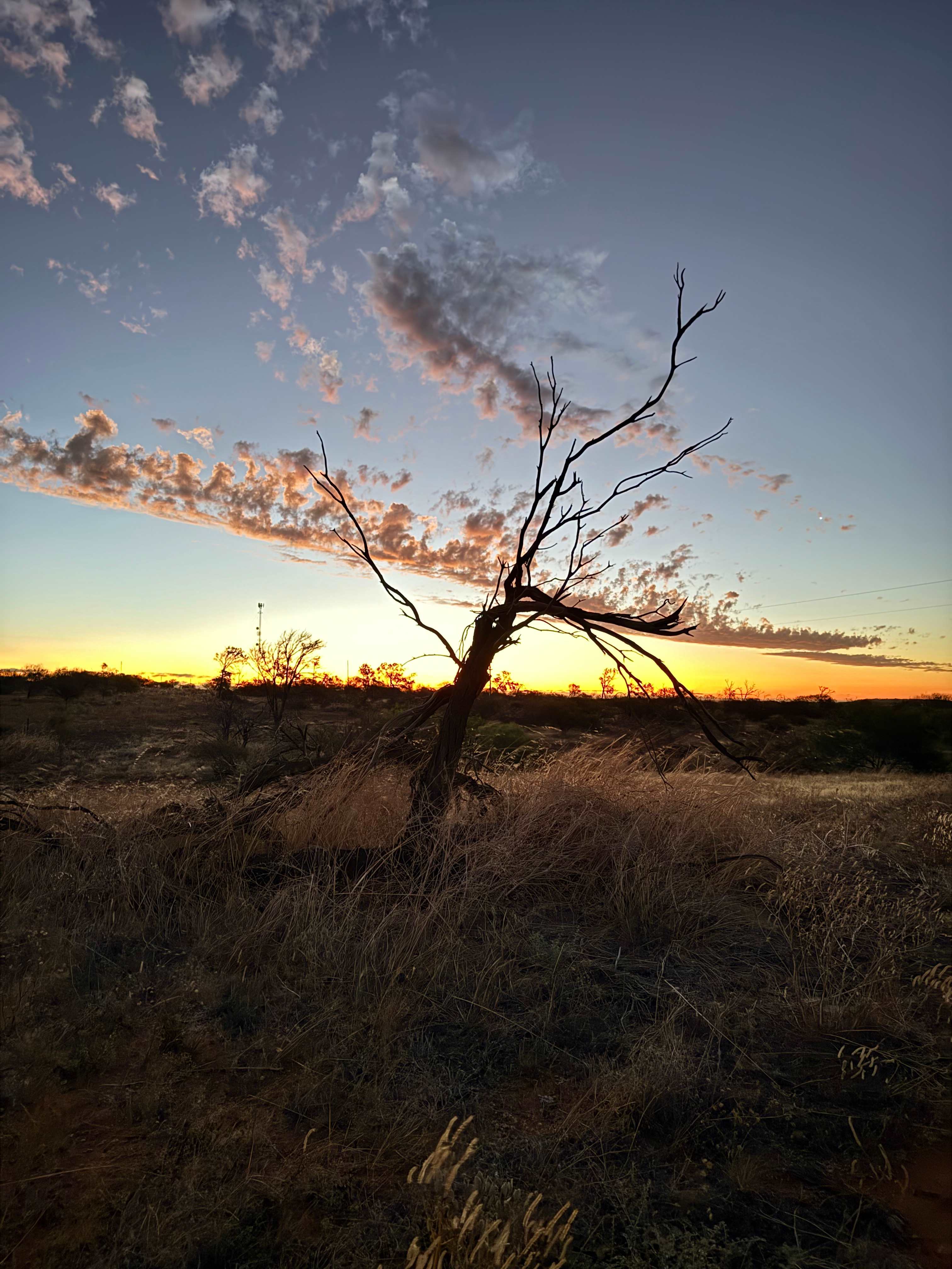 Ajana Bush Camps “Mt View Station”