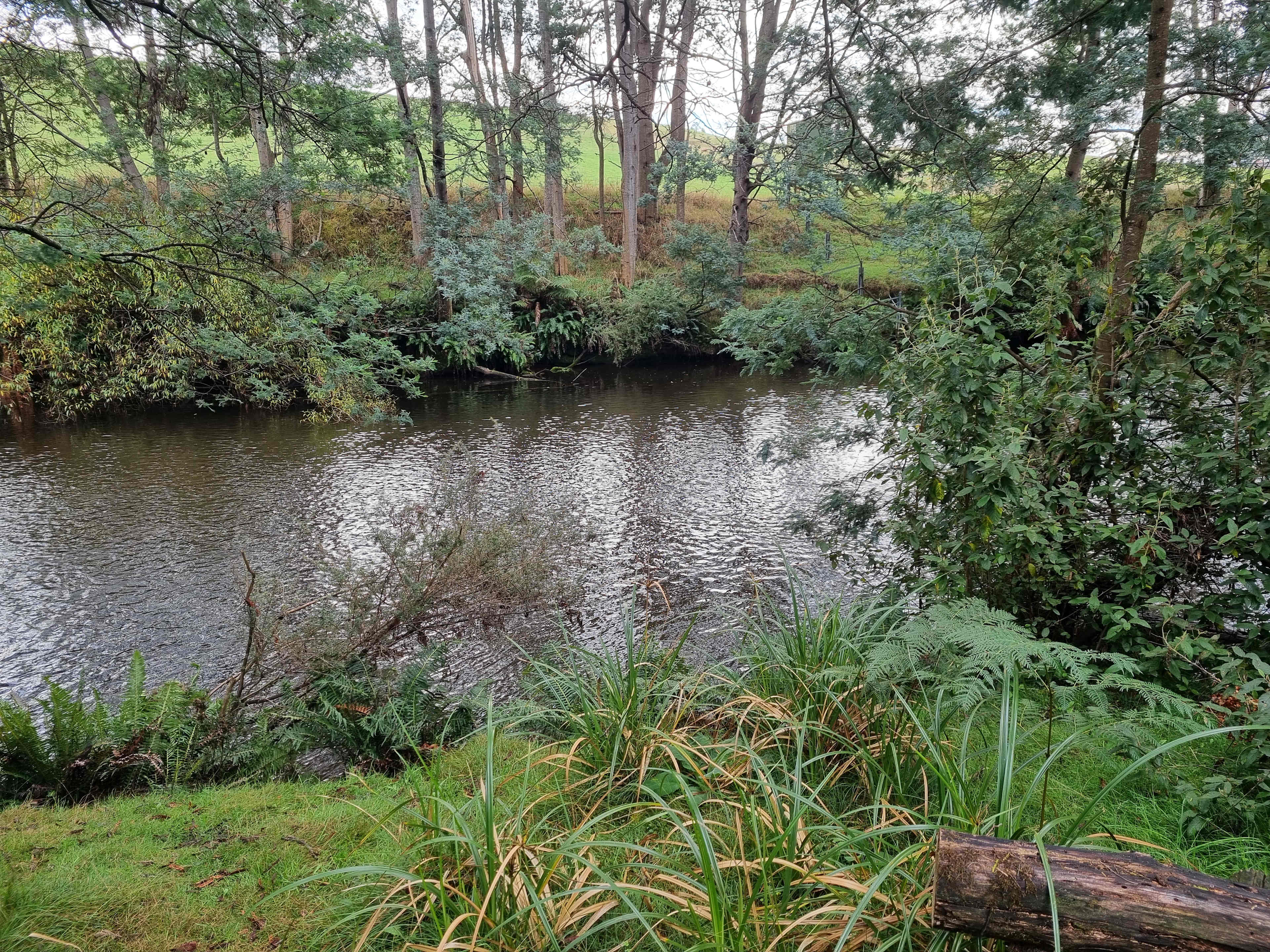 Dragon River Campground