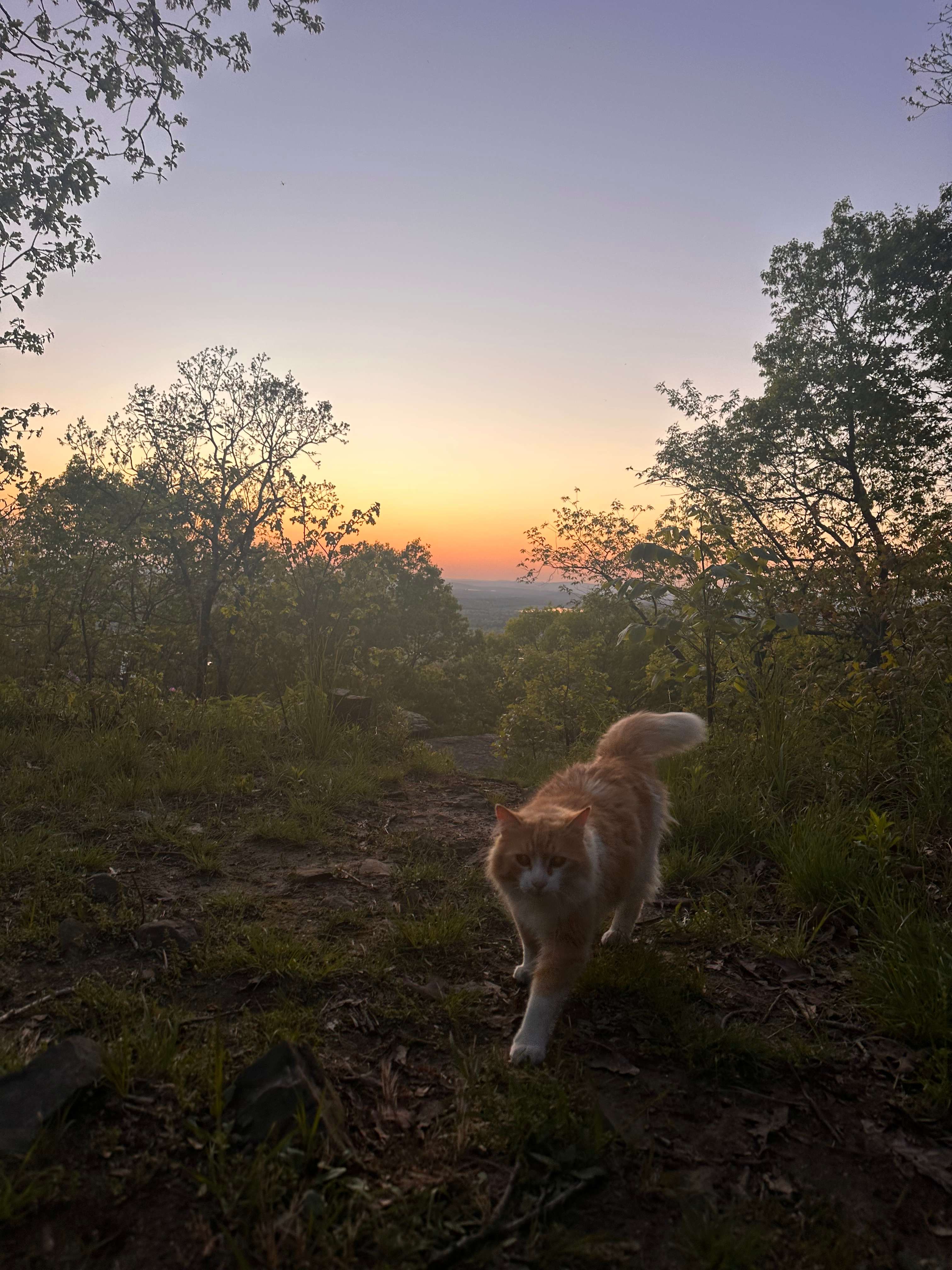 Heavener Runestone Park