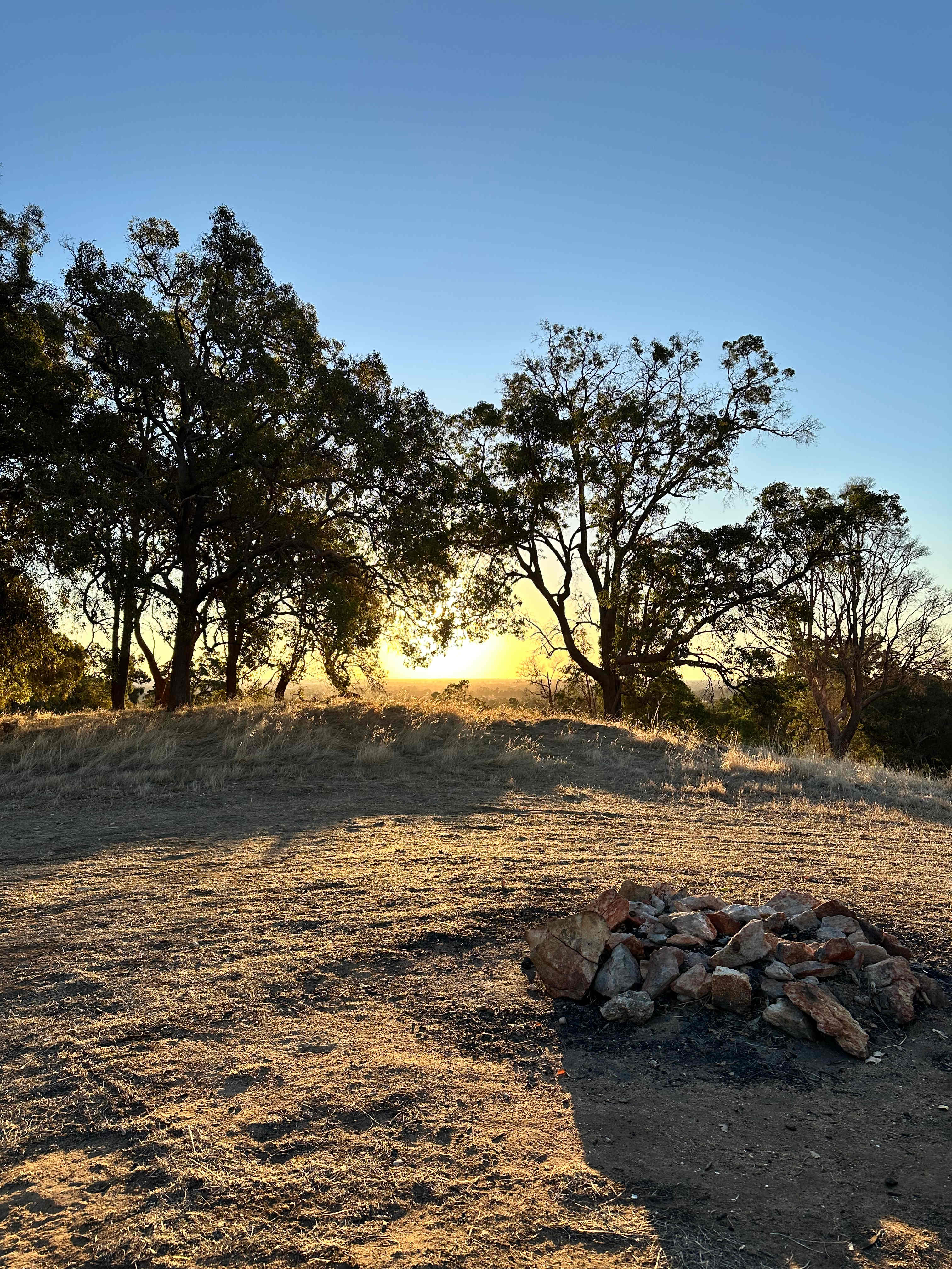 Jacaranda Hill Farm