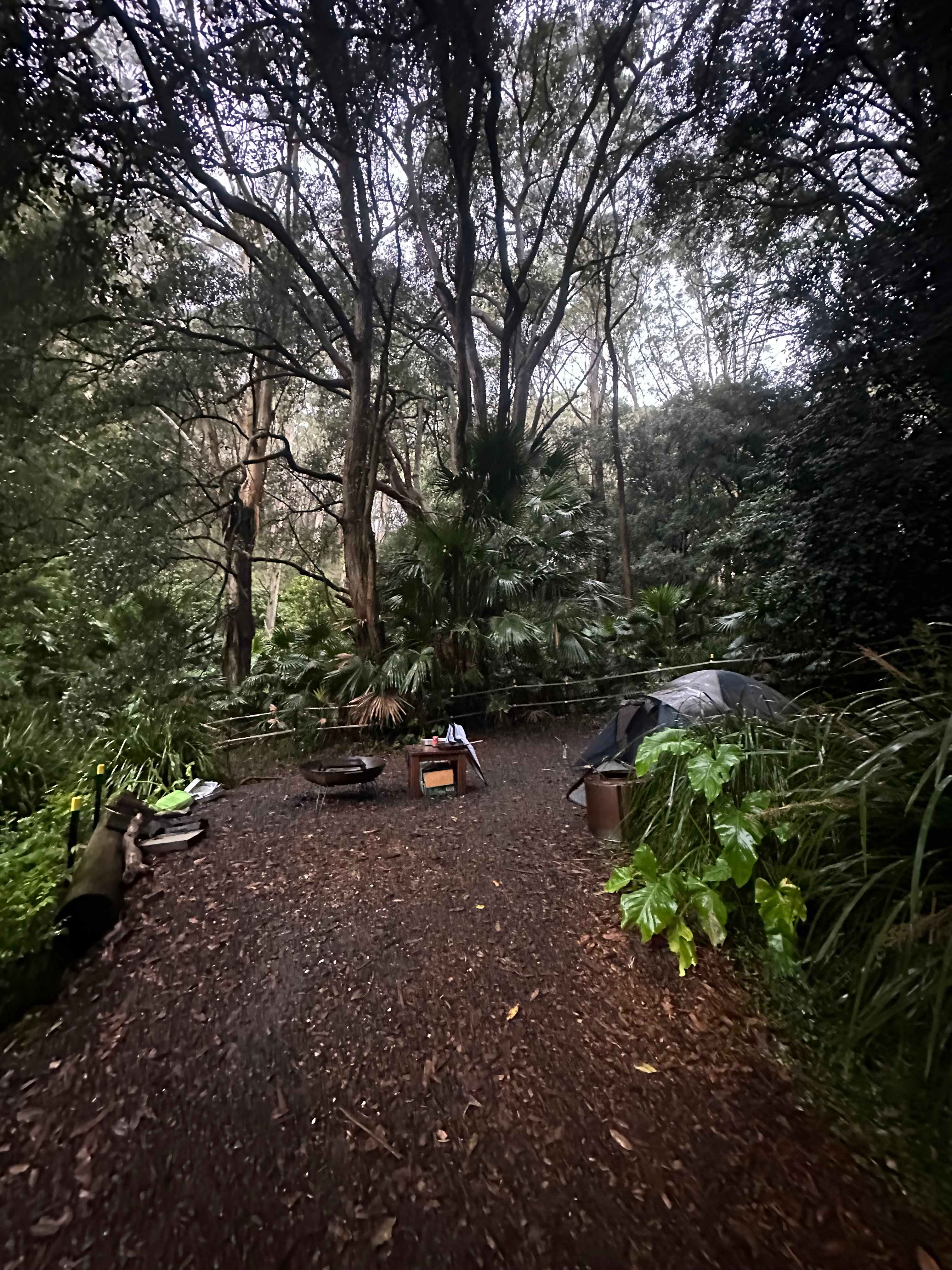 Otford Park nr Royal National Park
