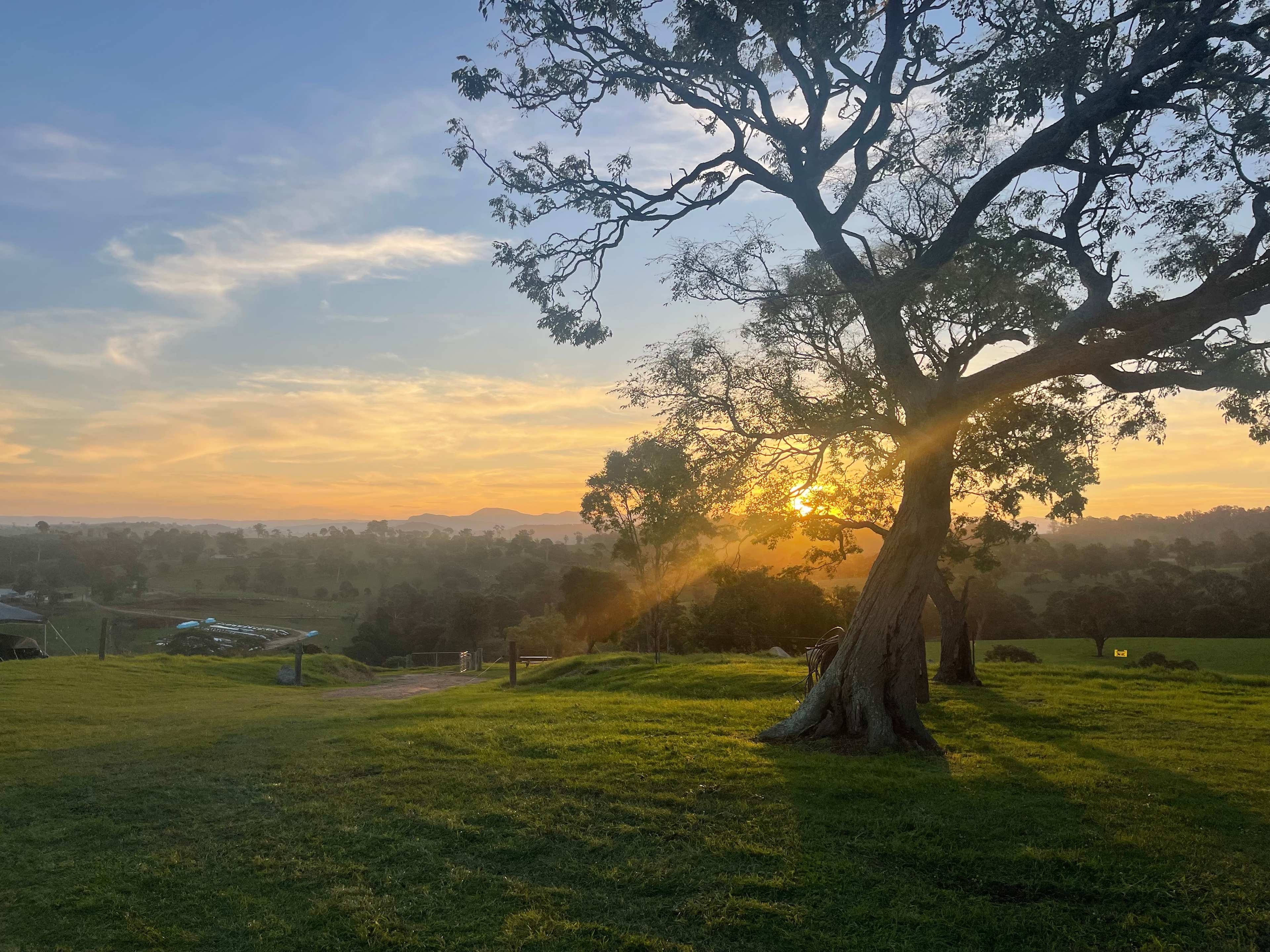 Sapphire Coast Dairy-Homestead