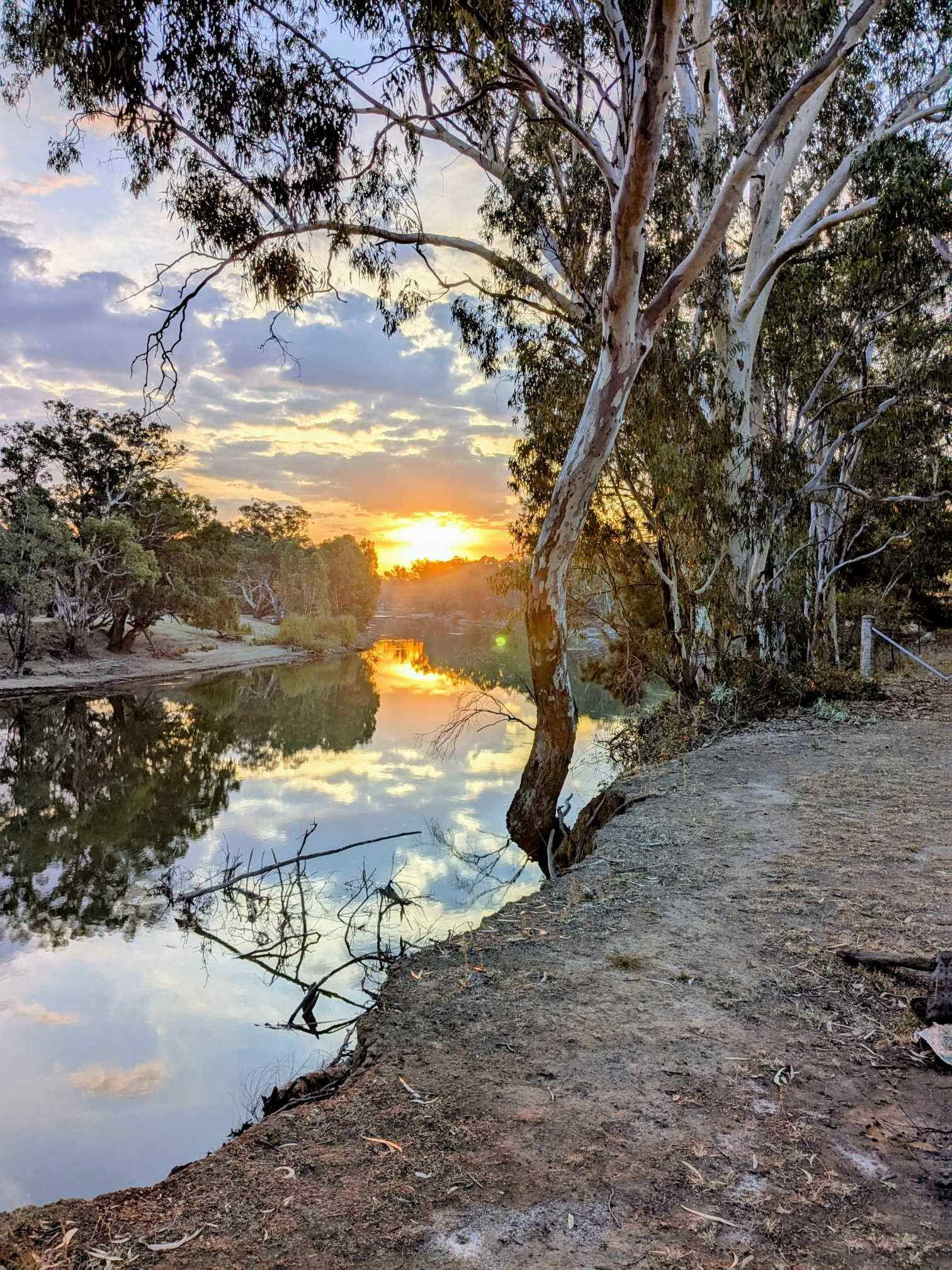 Palm Cove On The Murrumbidgee