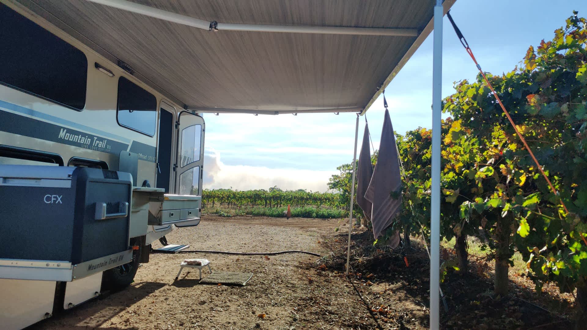 Camping in the vines