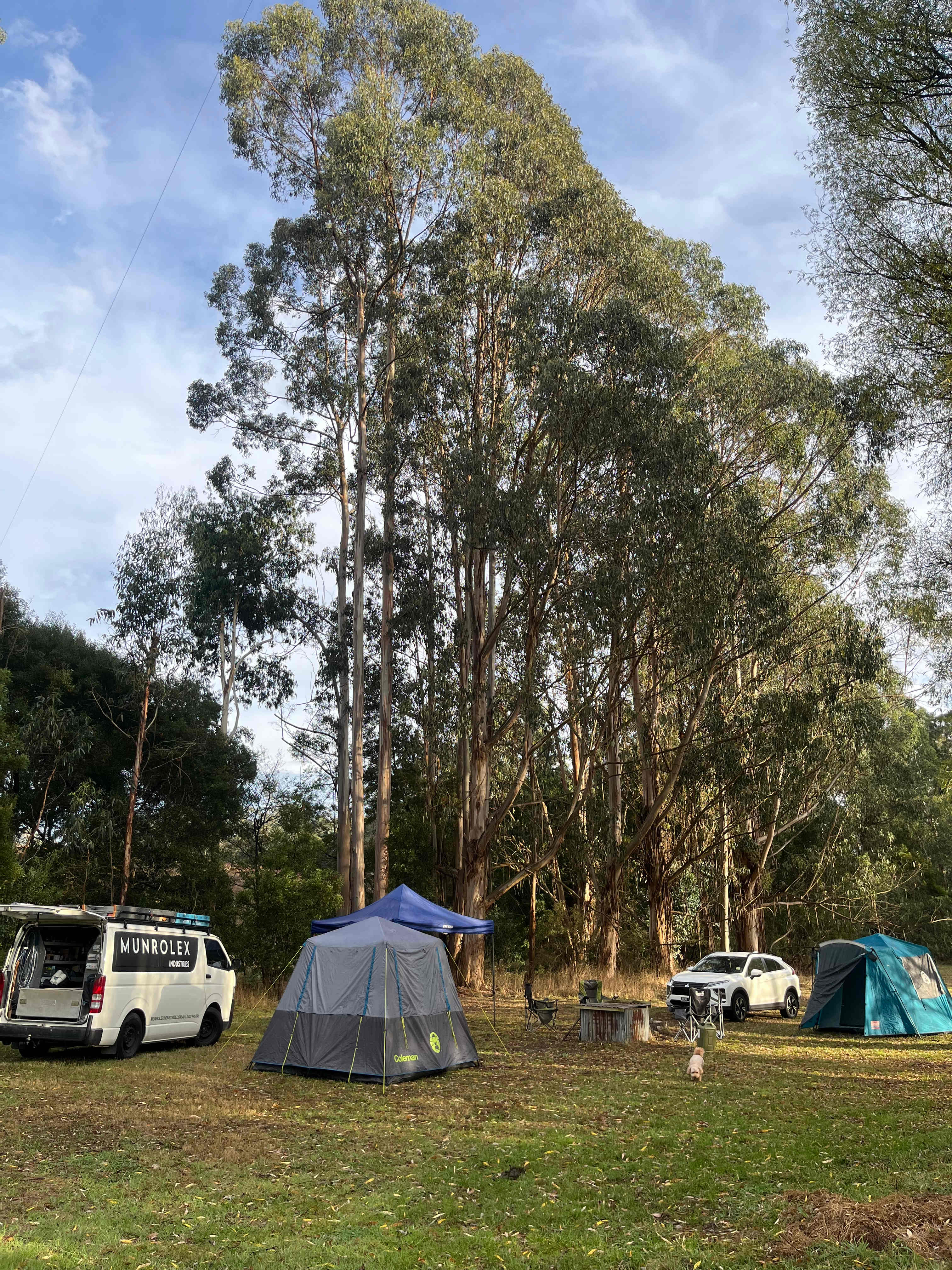 Dairy Countryside Camp