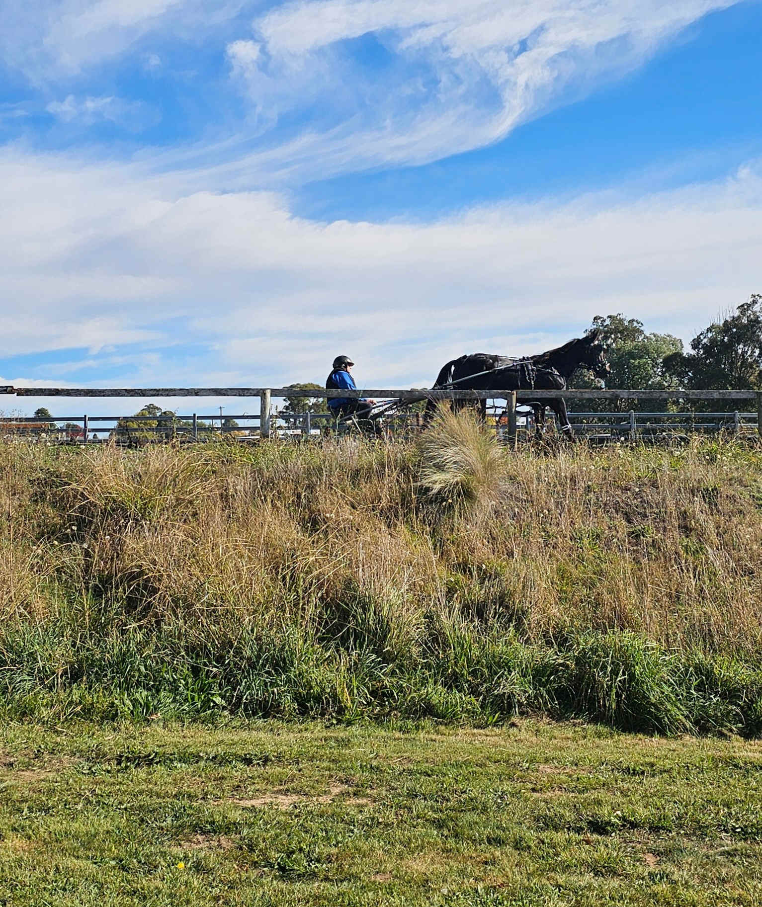 Oberon Showground