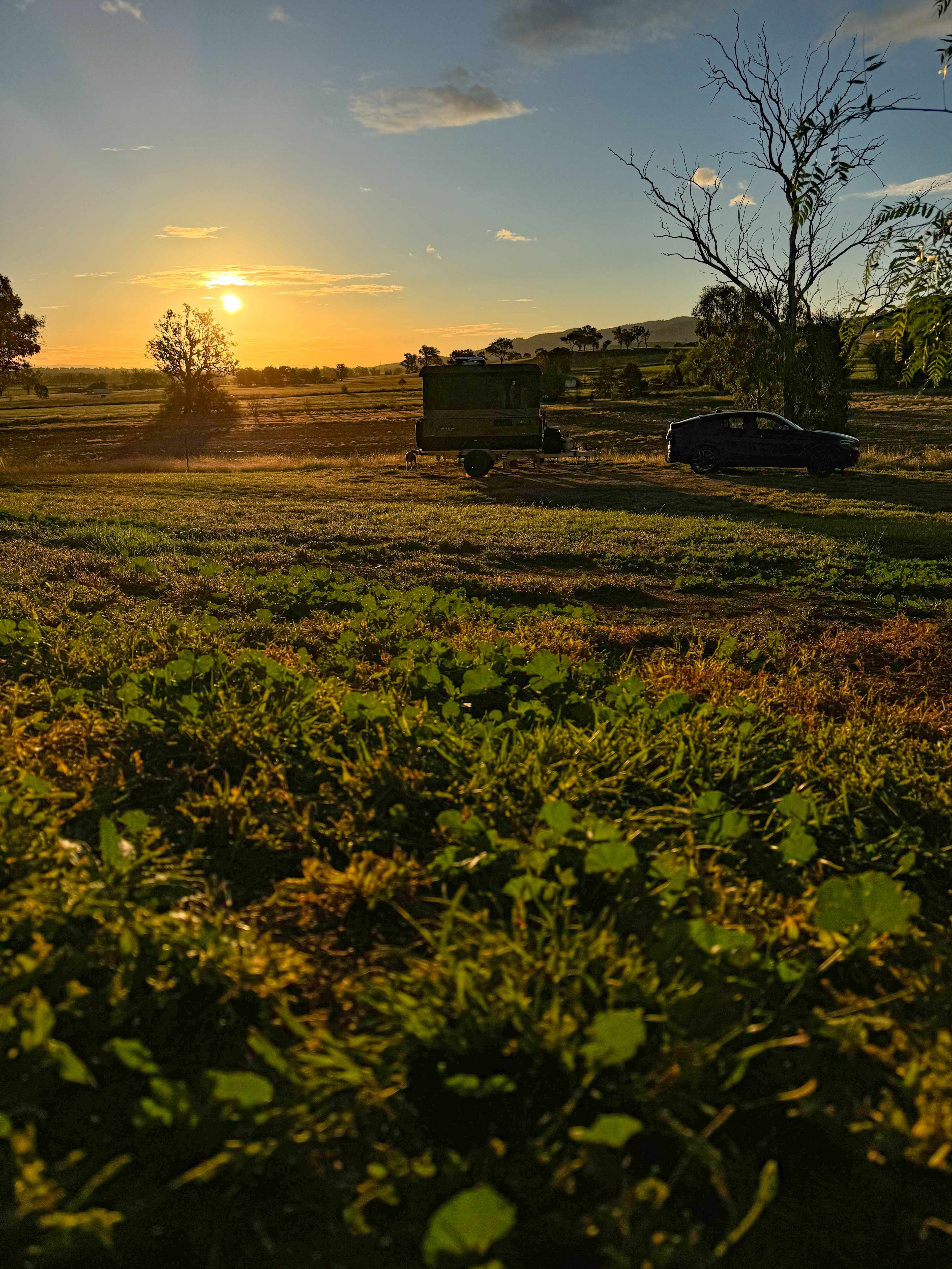 Oakey Farm