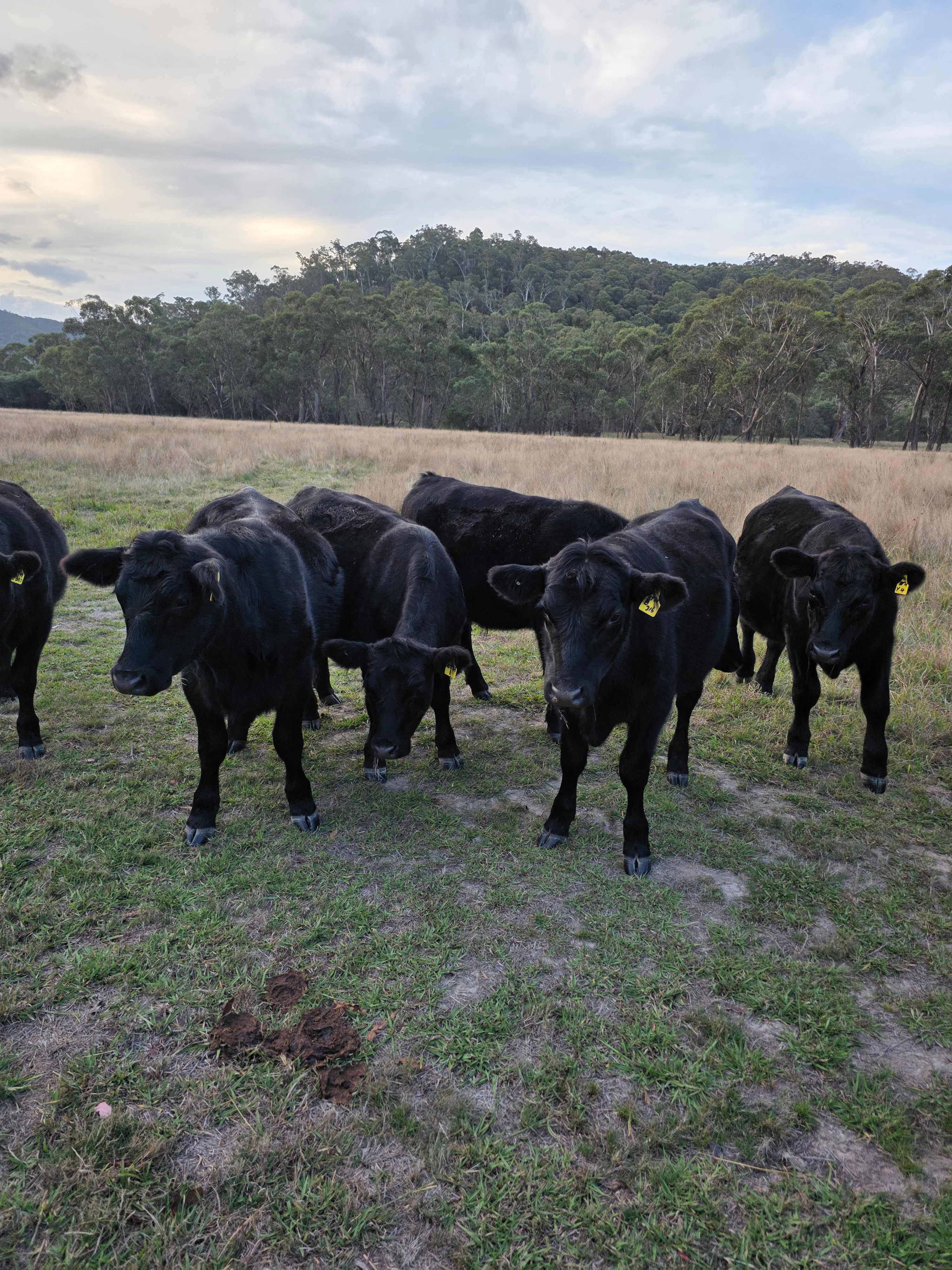 Wabonga Private Camp