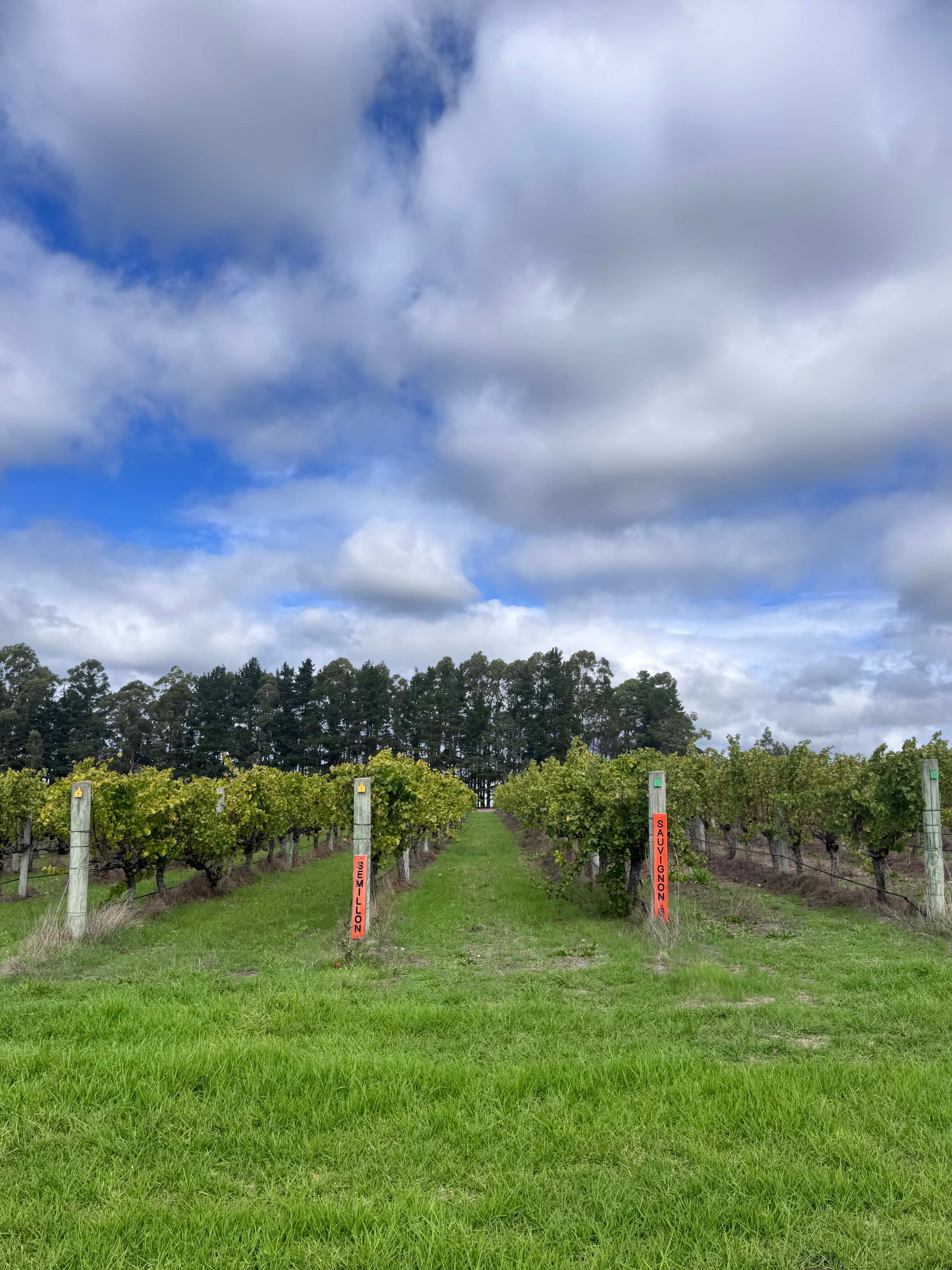 Margaret River - Rosa Glen Farm