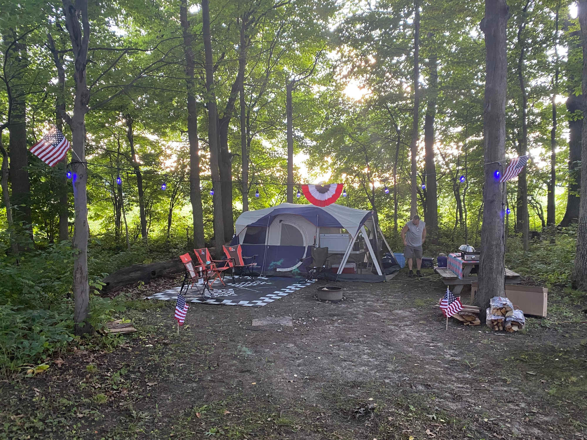 Picture of the site