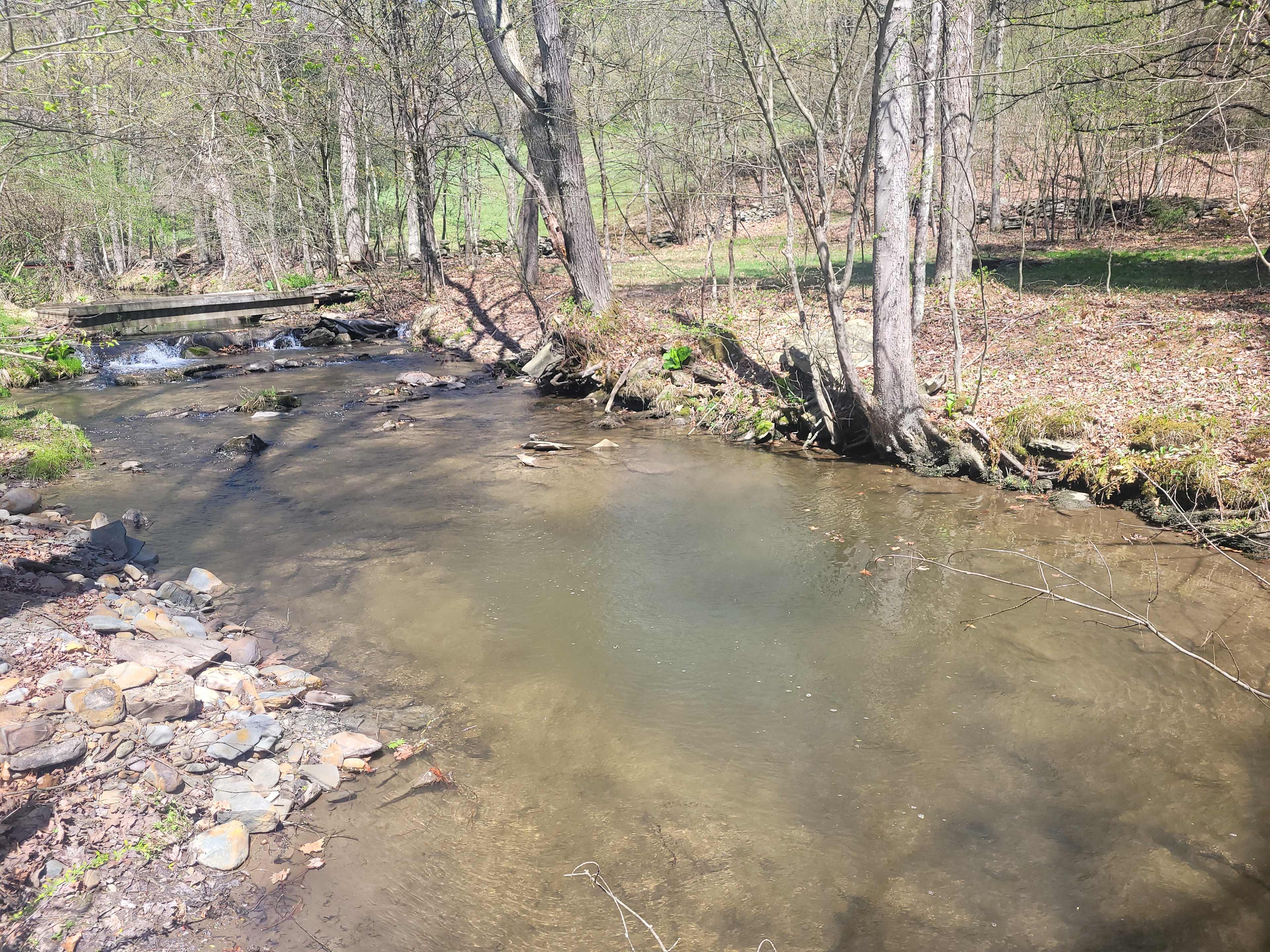 Reyburn Creek