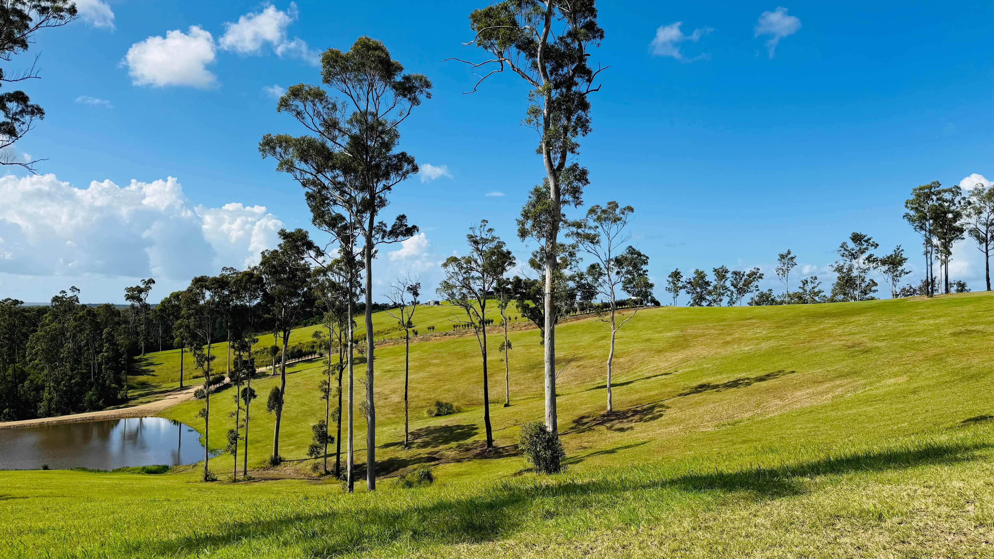 Herring Estate - Panoramic Views