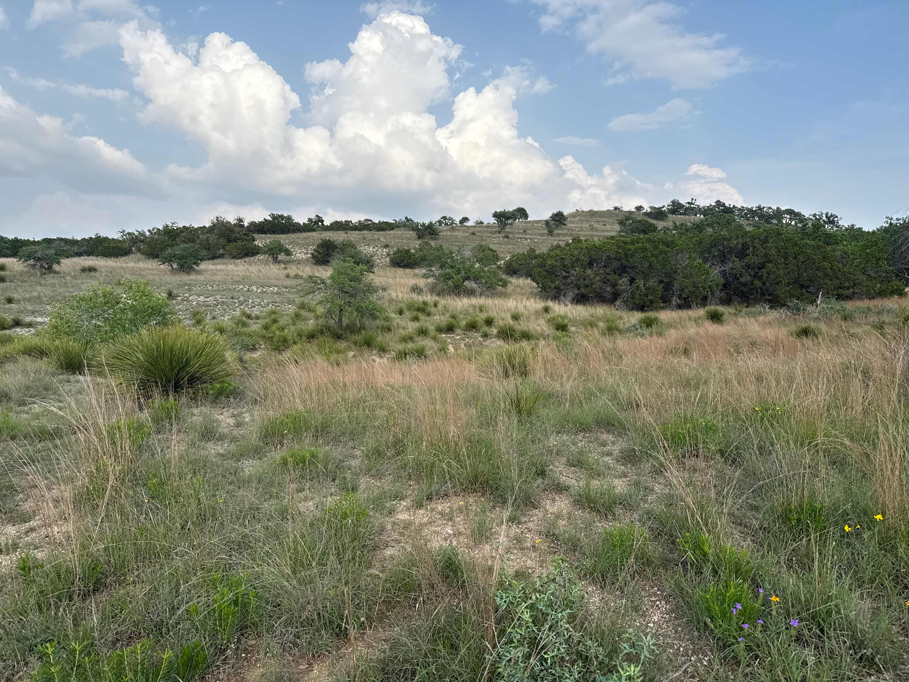 Lovely views, but plenty of trees by the tent sites.