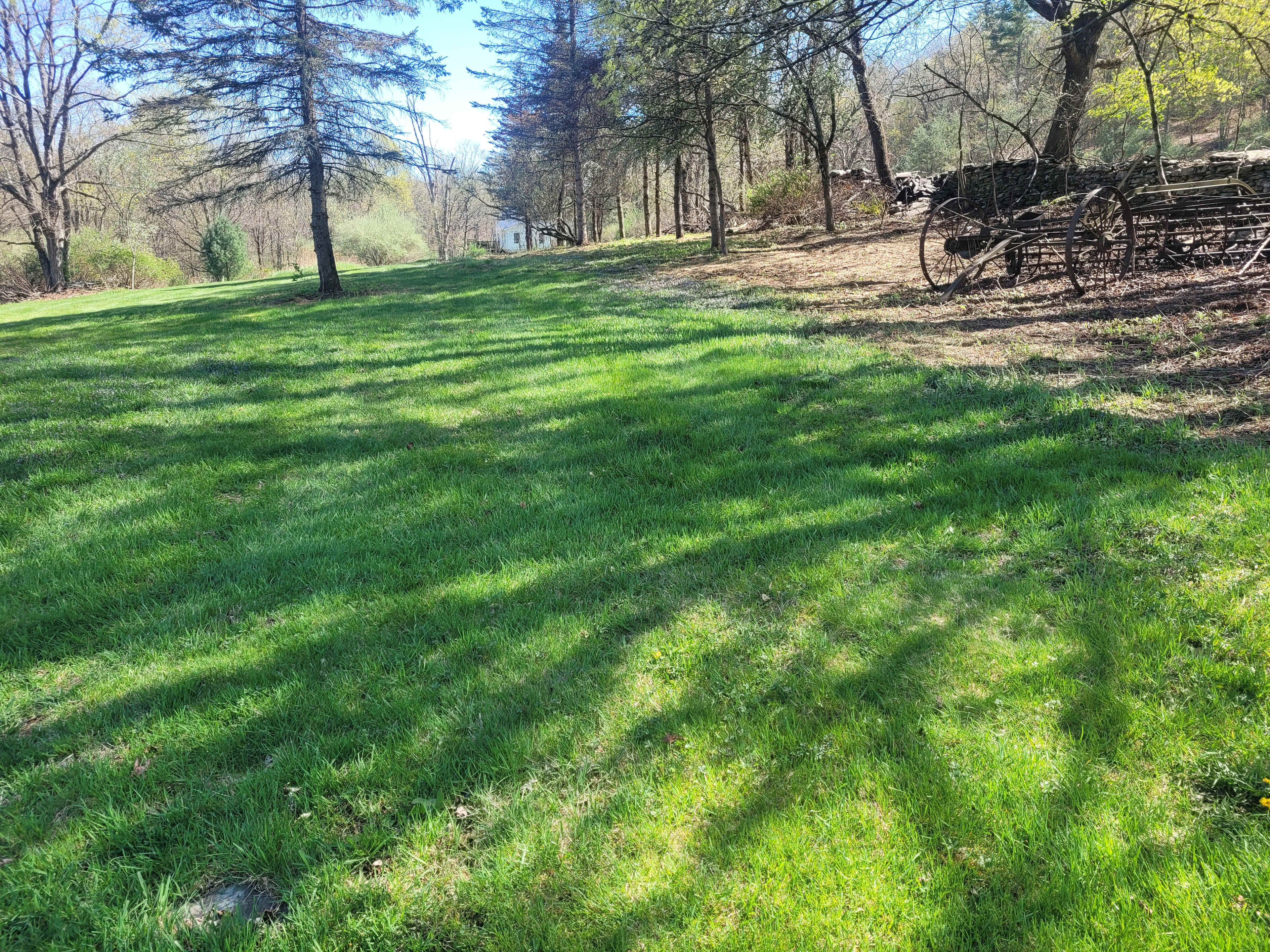 Reyburn Creek