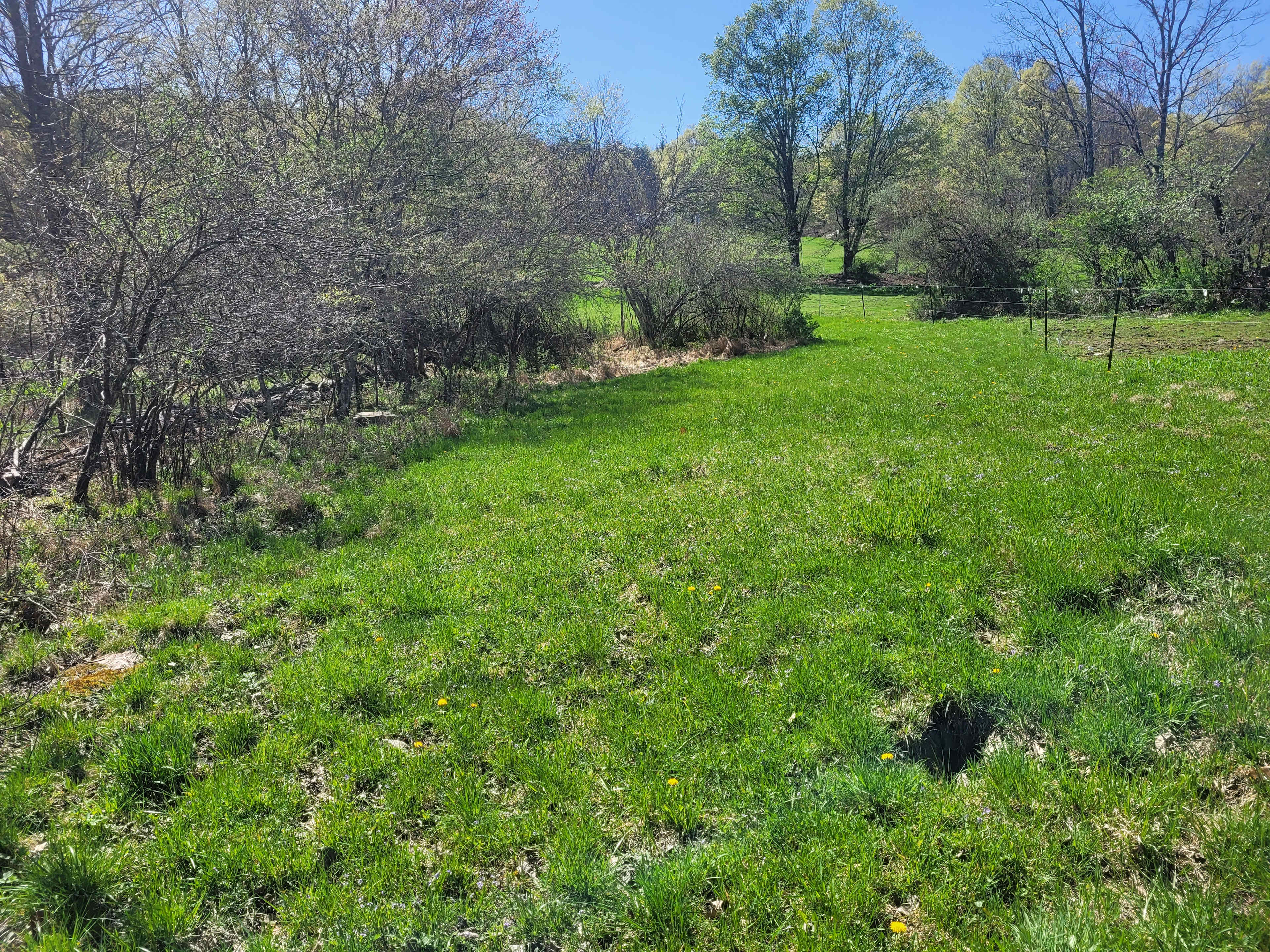 Reyburn Creek