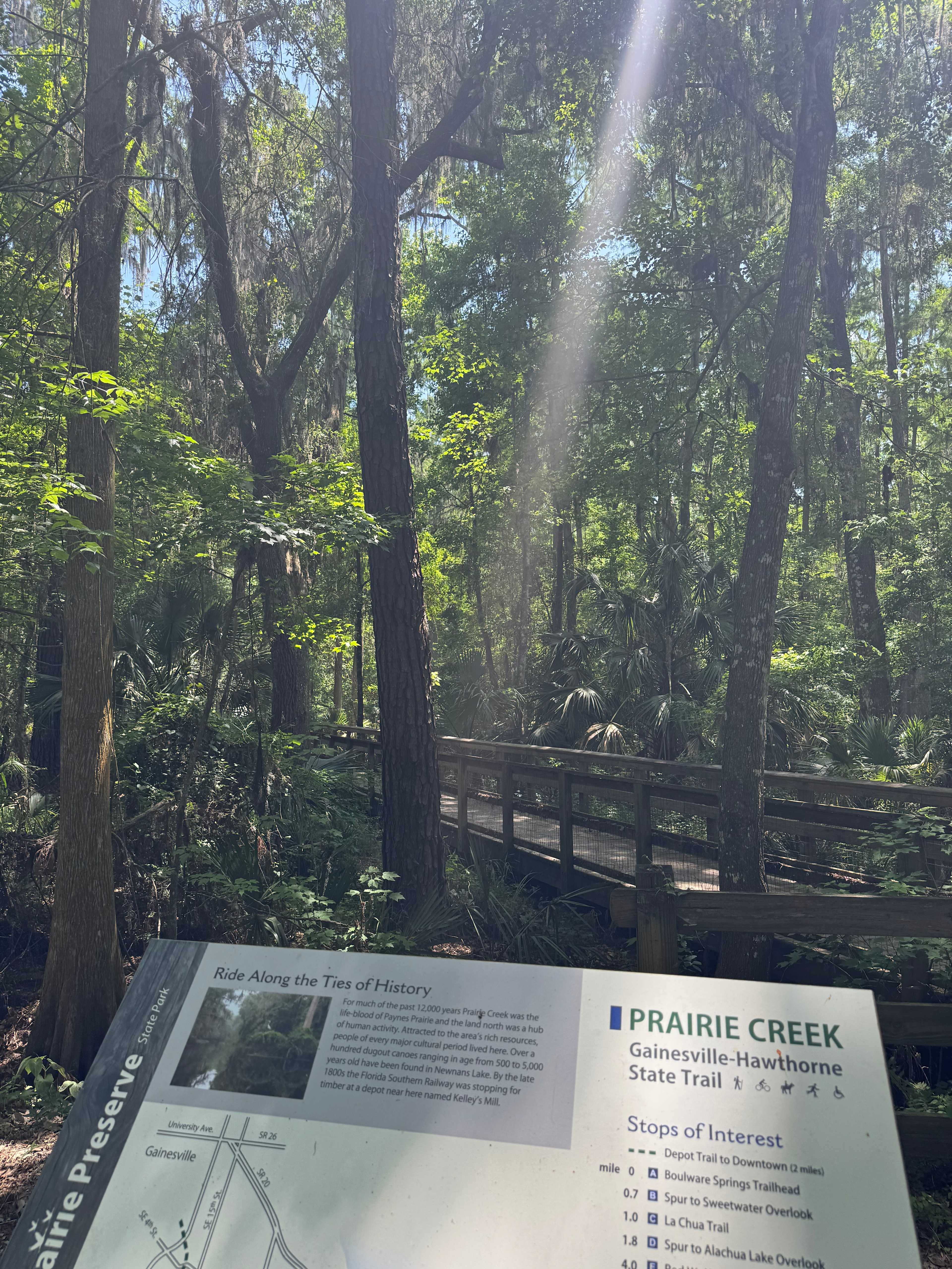 Downtown Nature Retreat