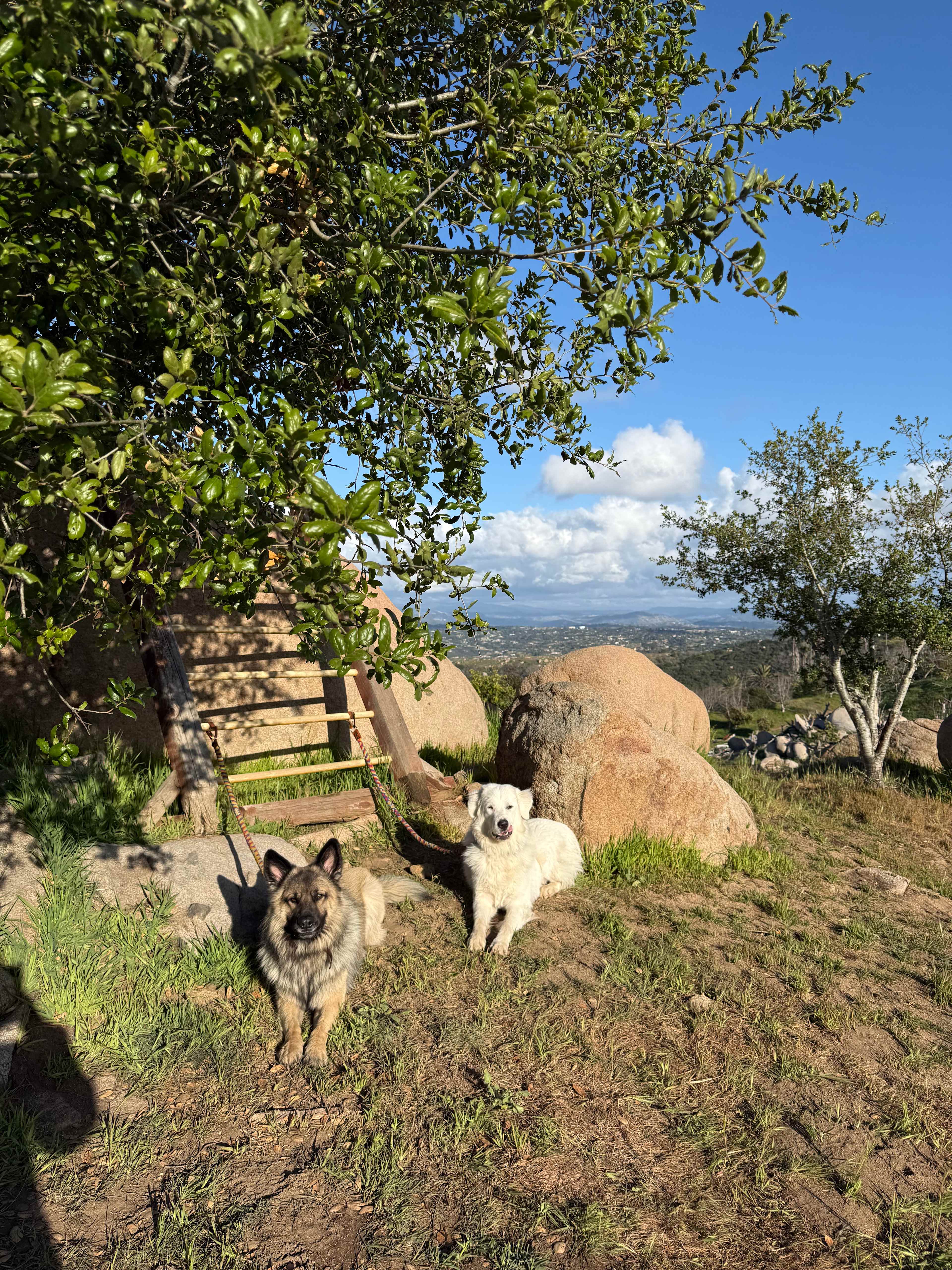 Splitrock Farm and Retreat