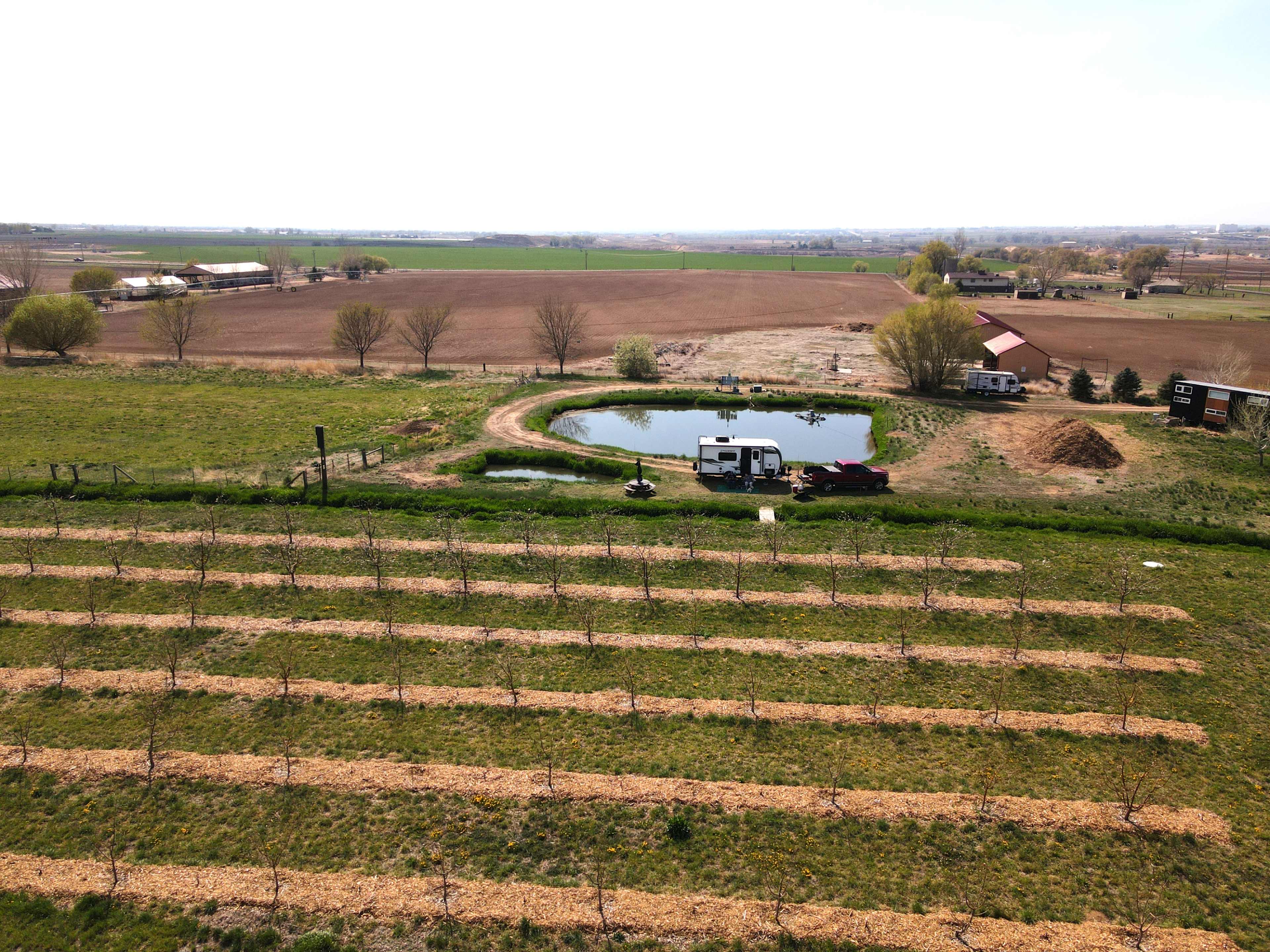 Rocking Martini Farm