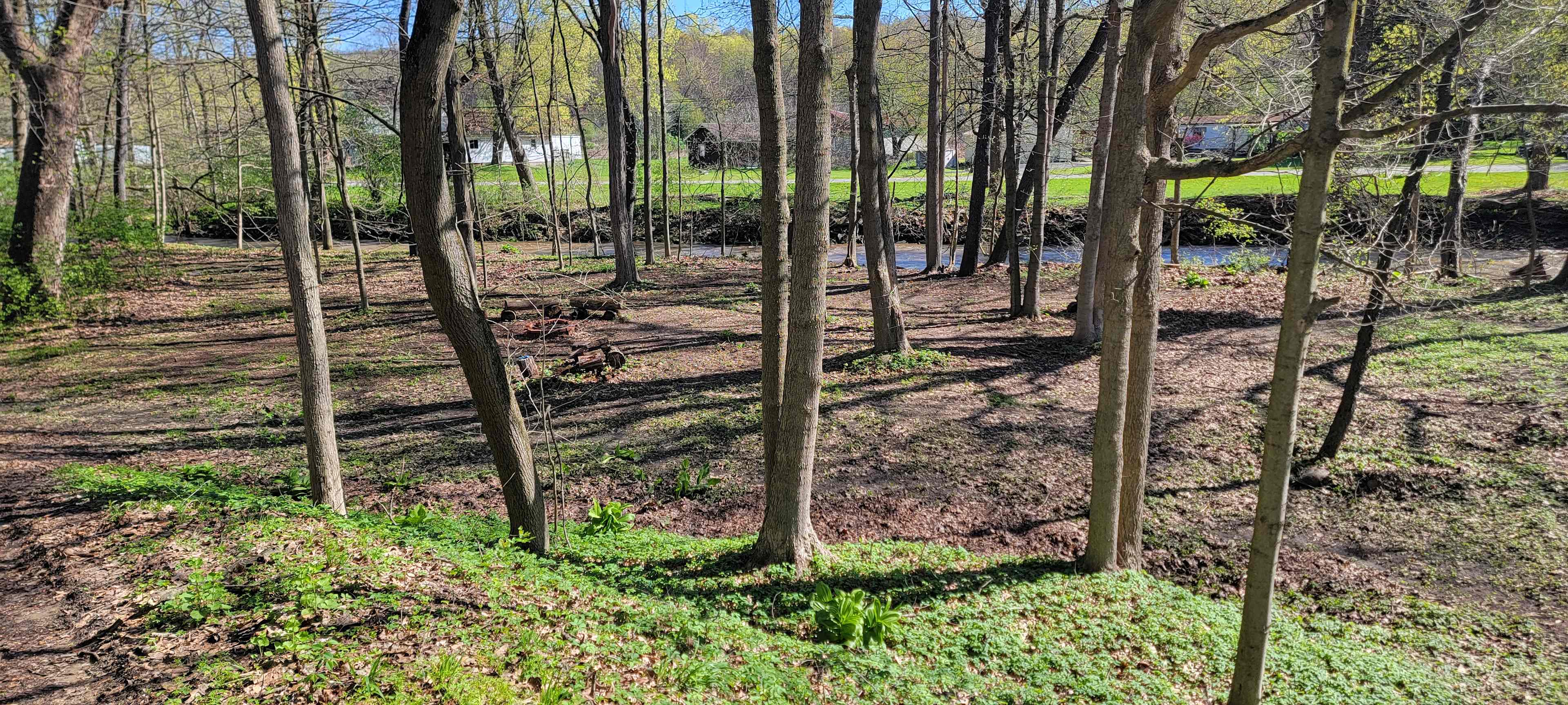 Fire circle and river
