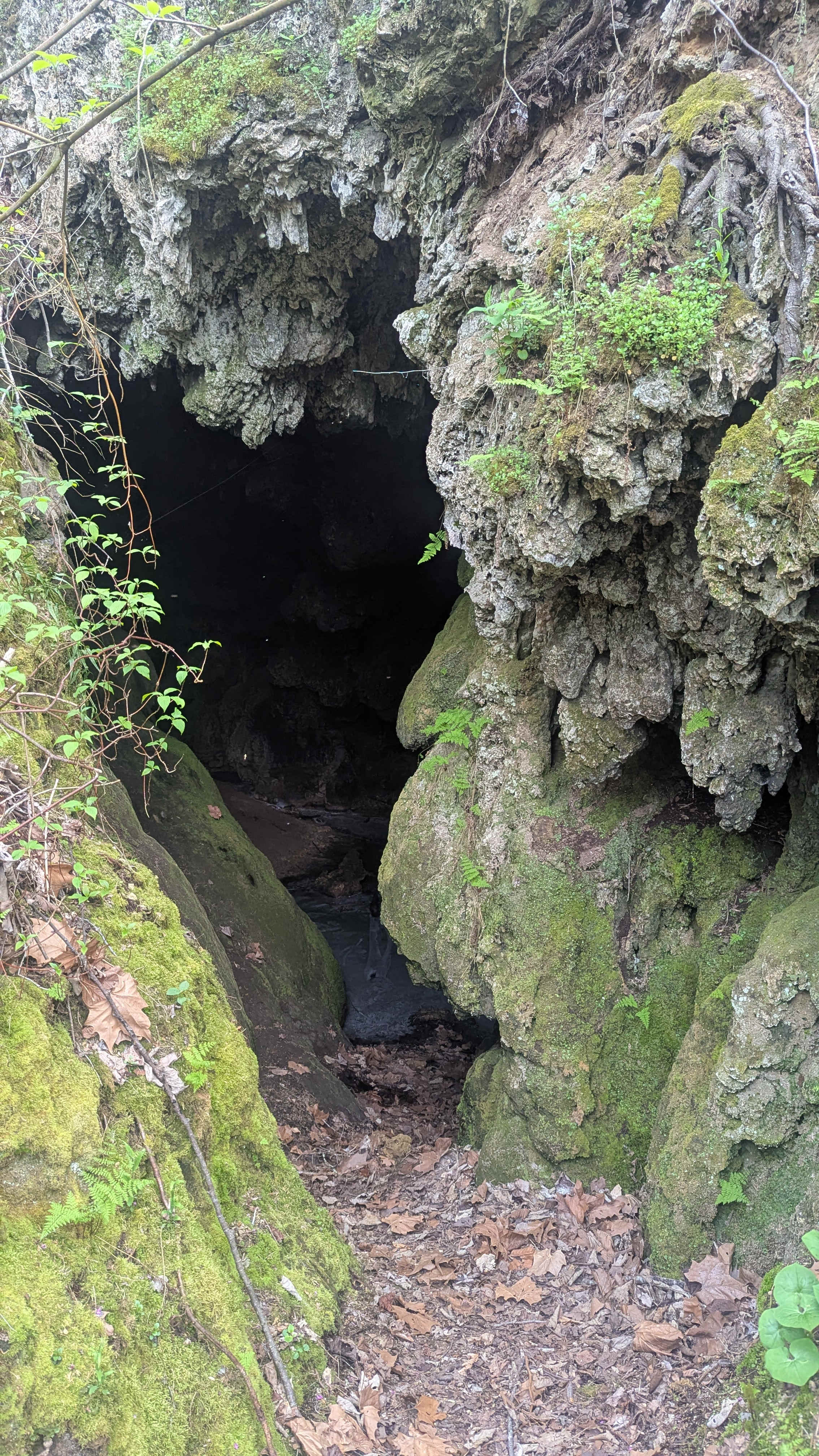 The cave entrance