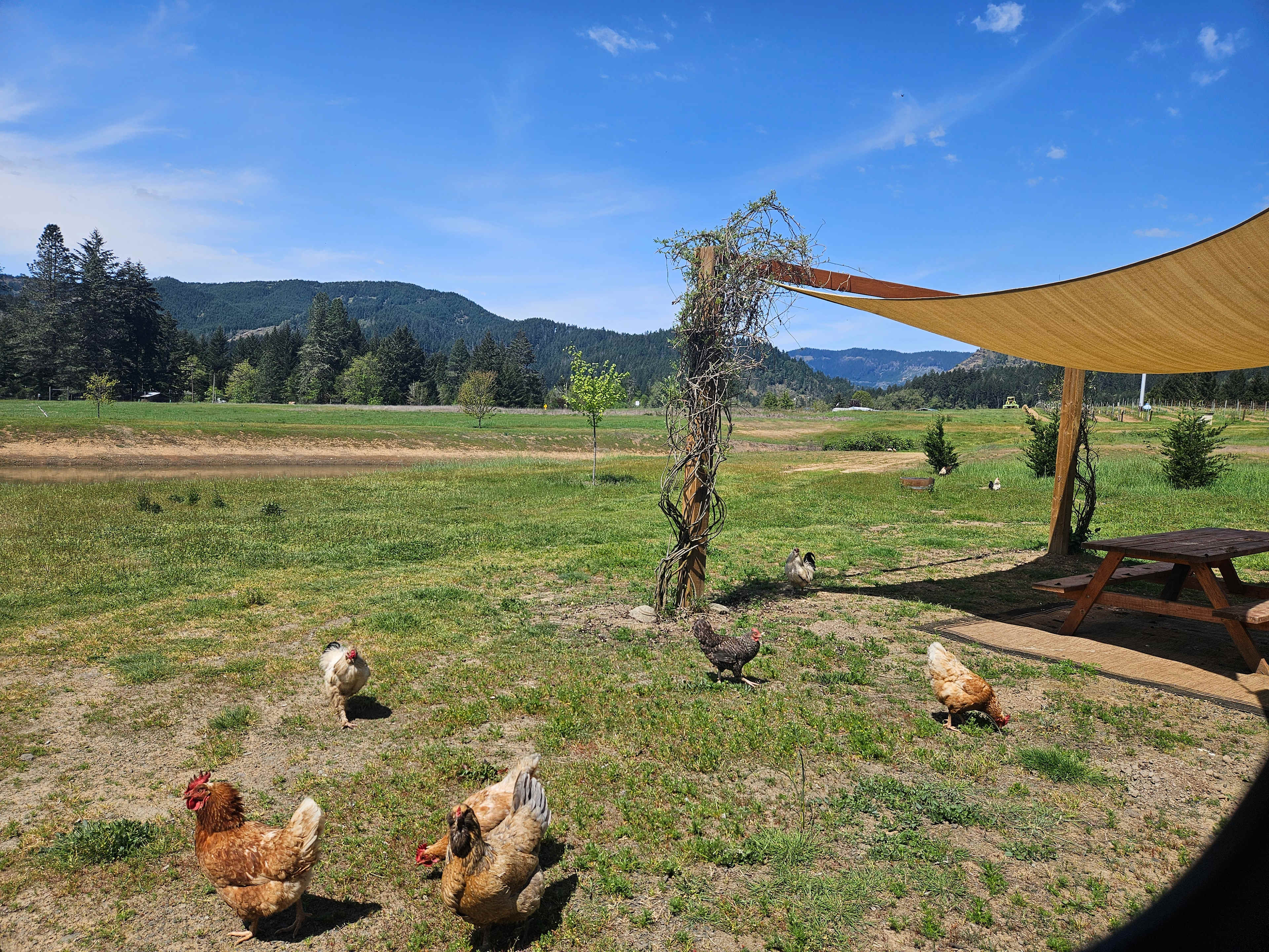 Hideaway At The Vineyard