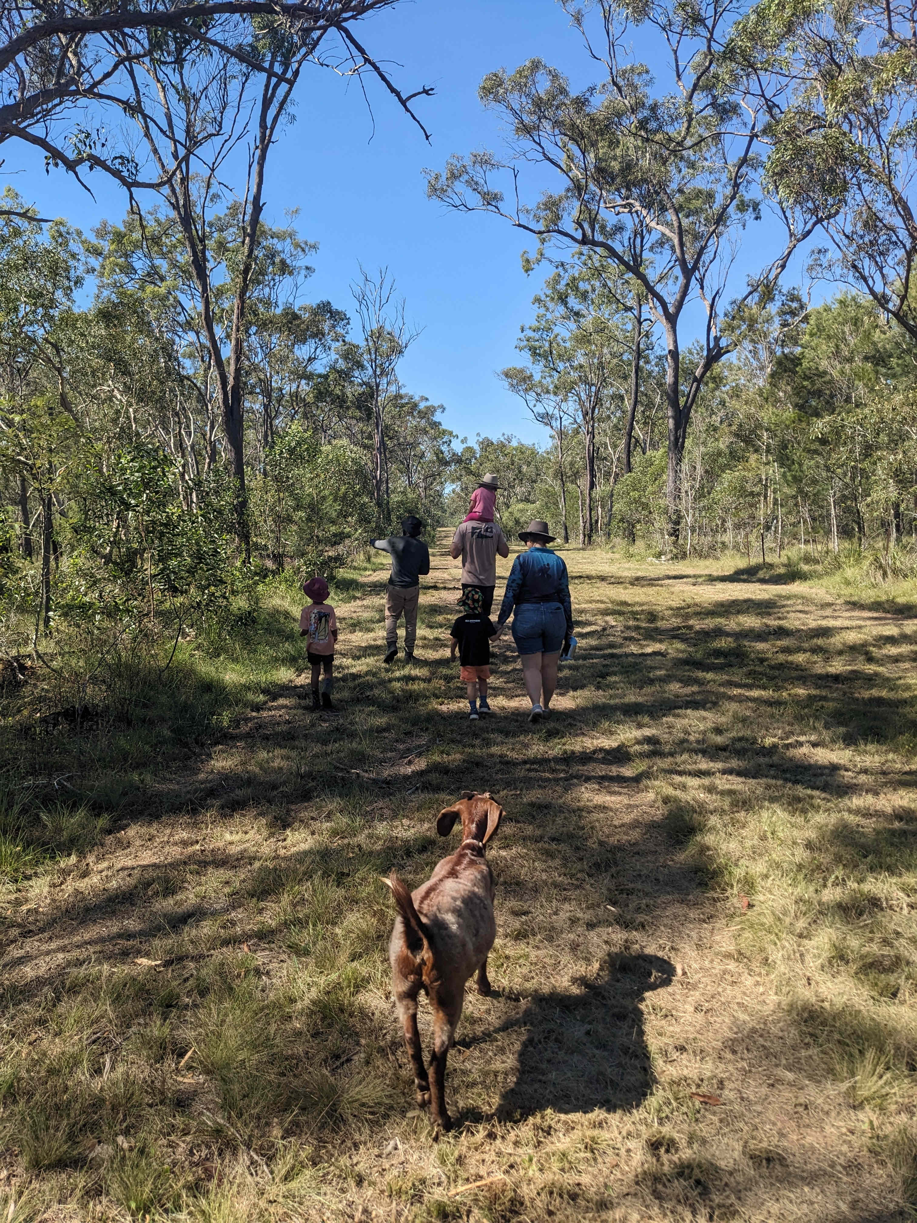 Woodlands Farmstay and Glamping