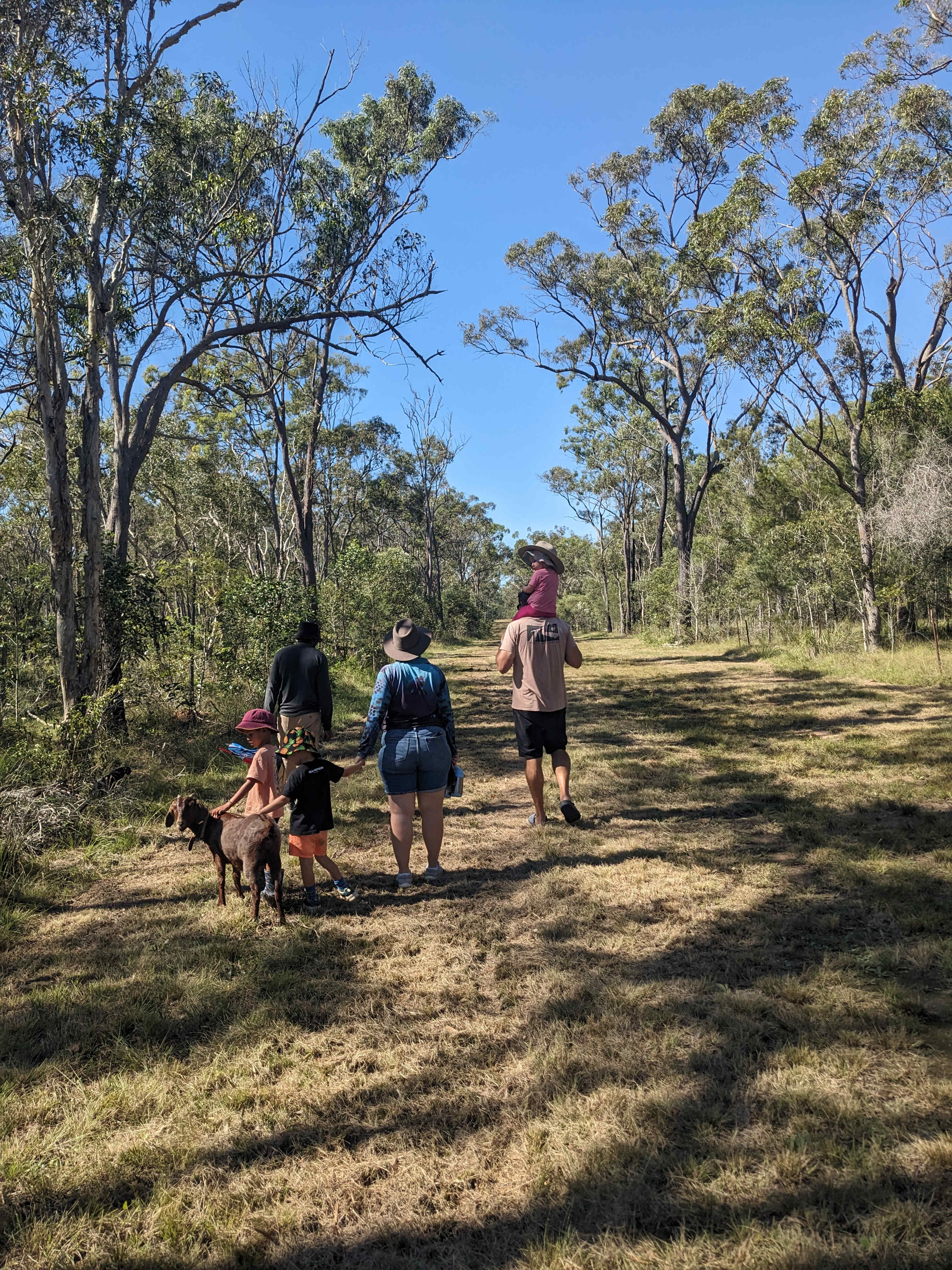 Woodlands Farmstay and Glamping