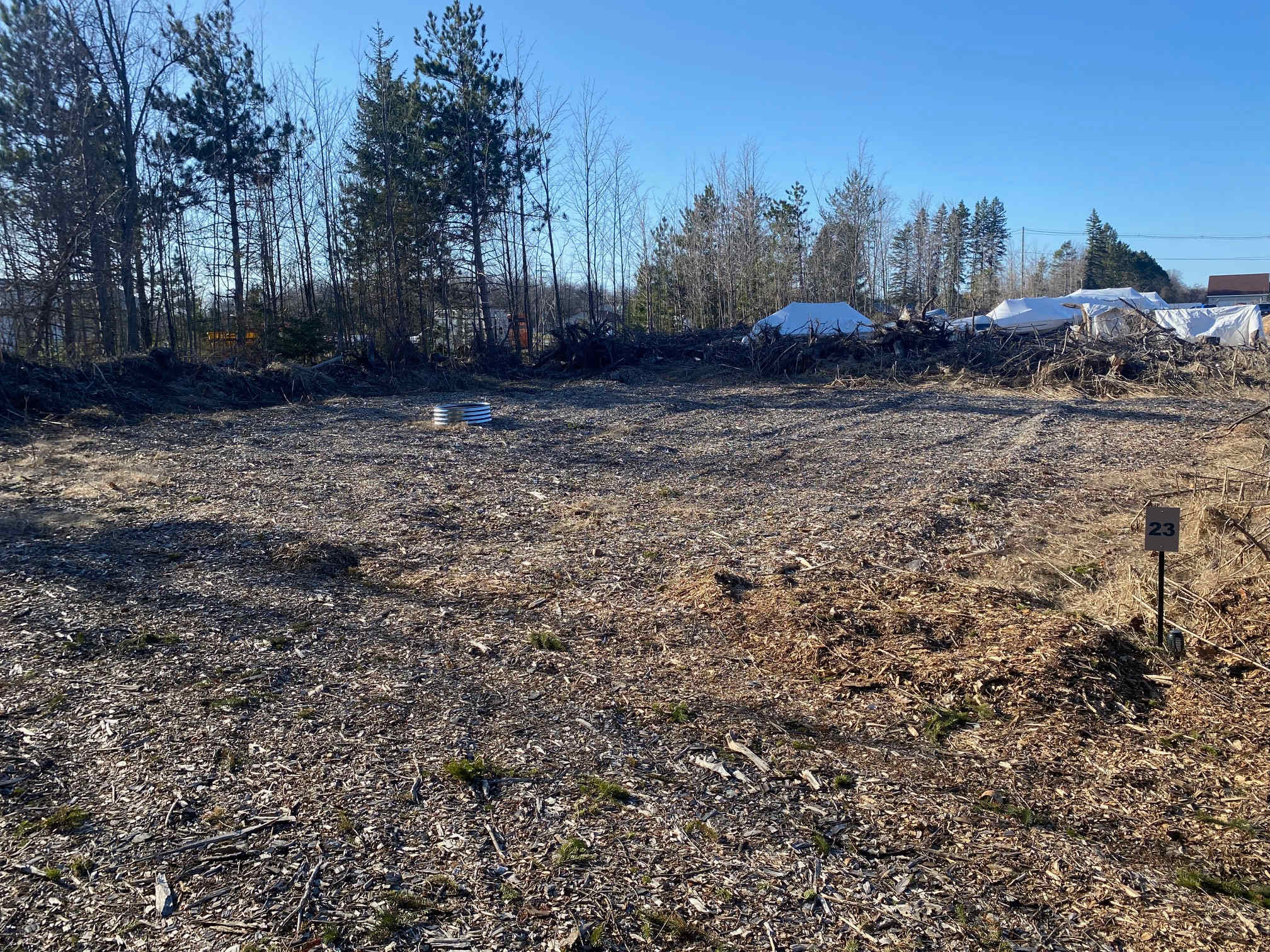 Picture of the site