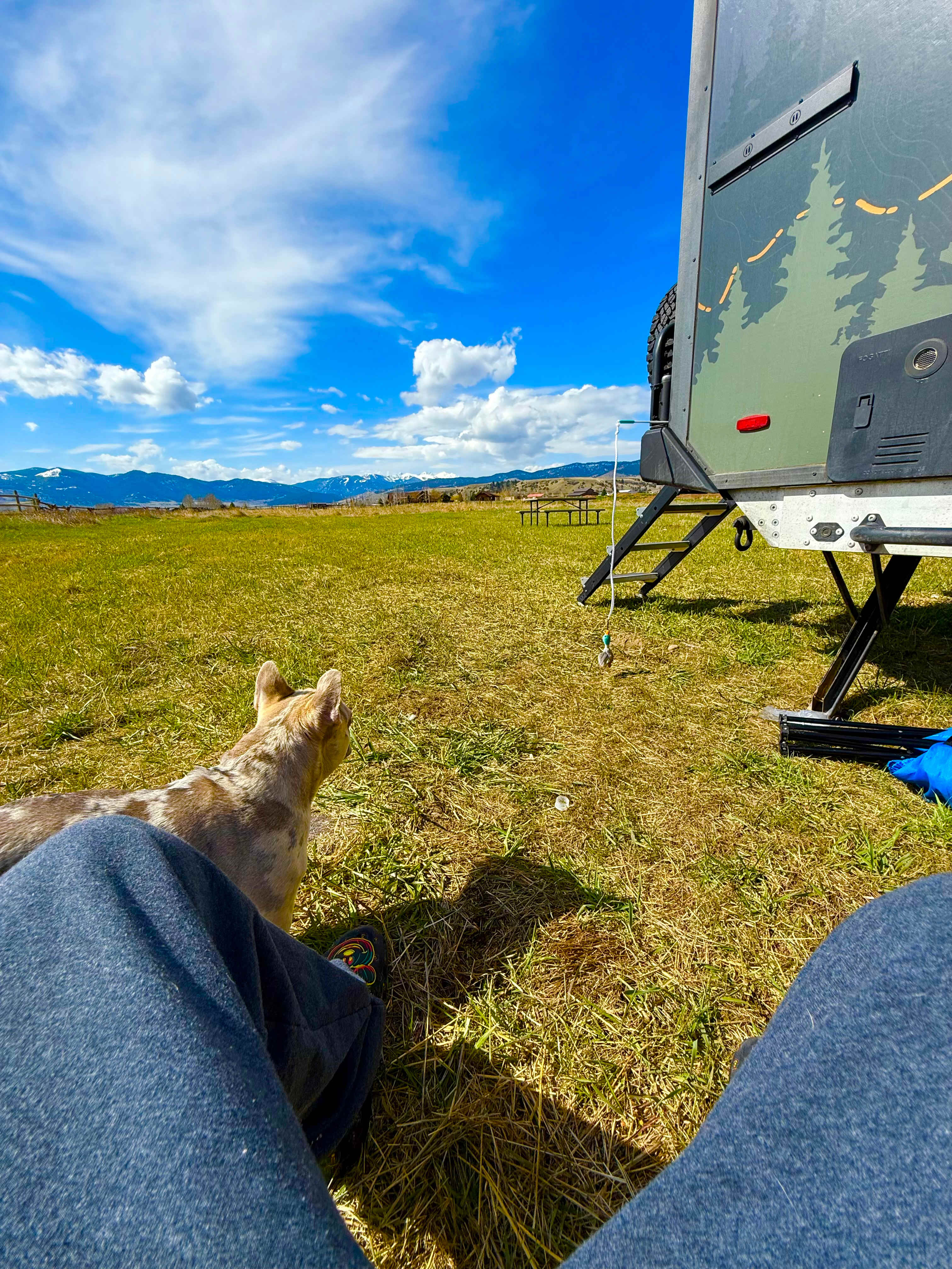 Cloud Nine Equine Ranch