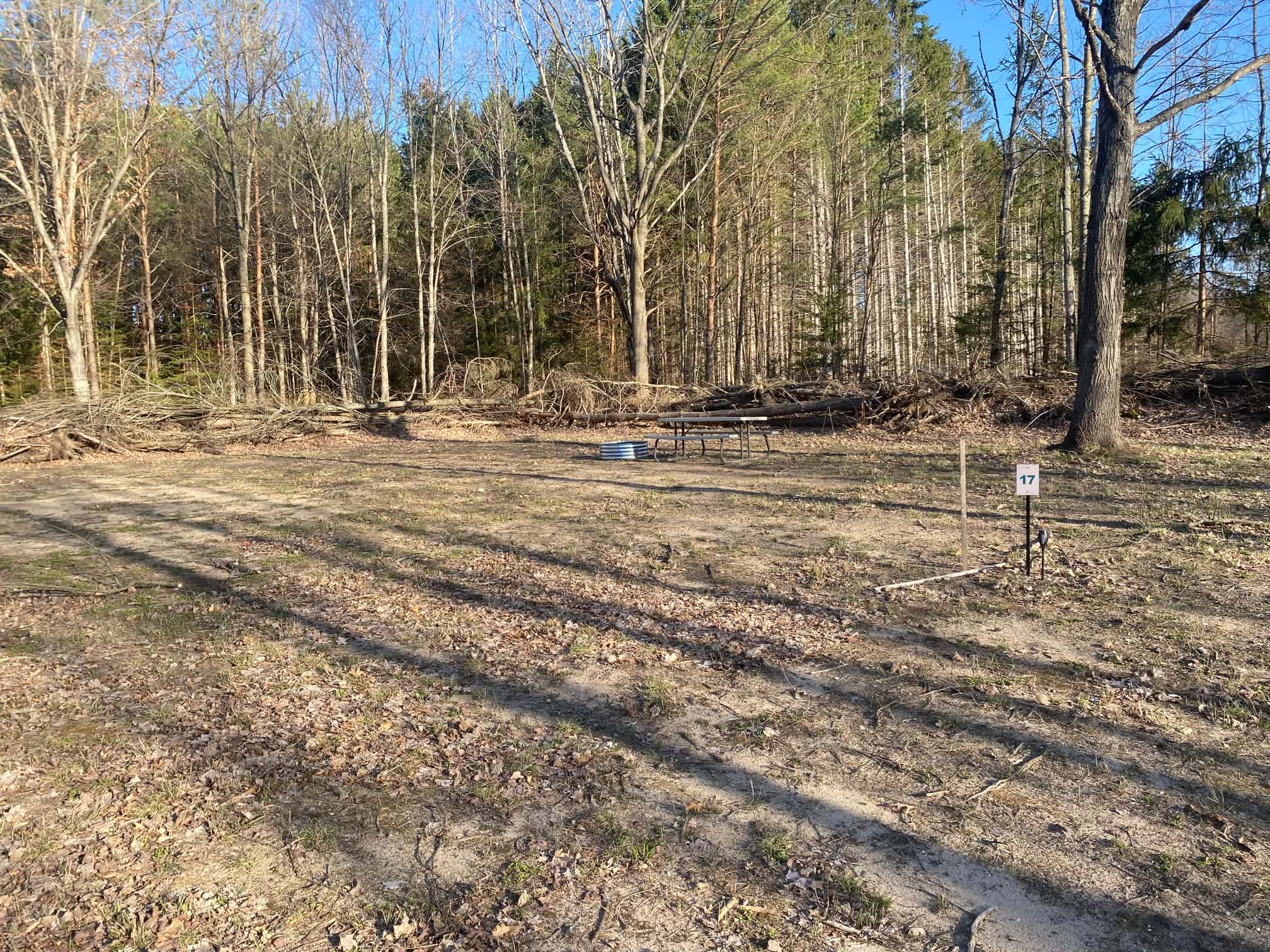 Picture of the site