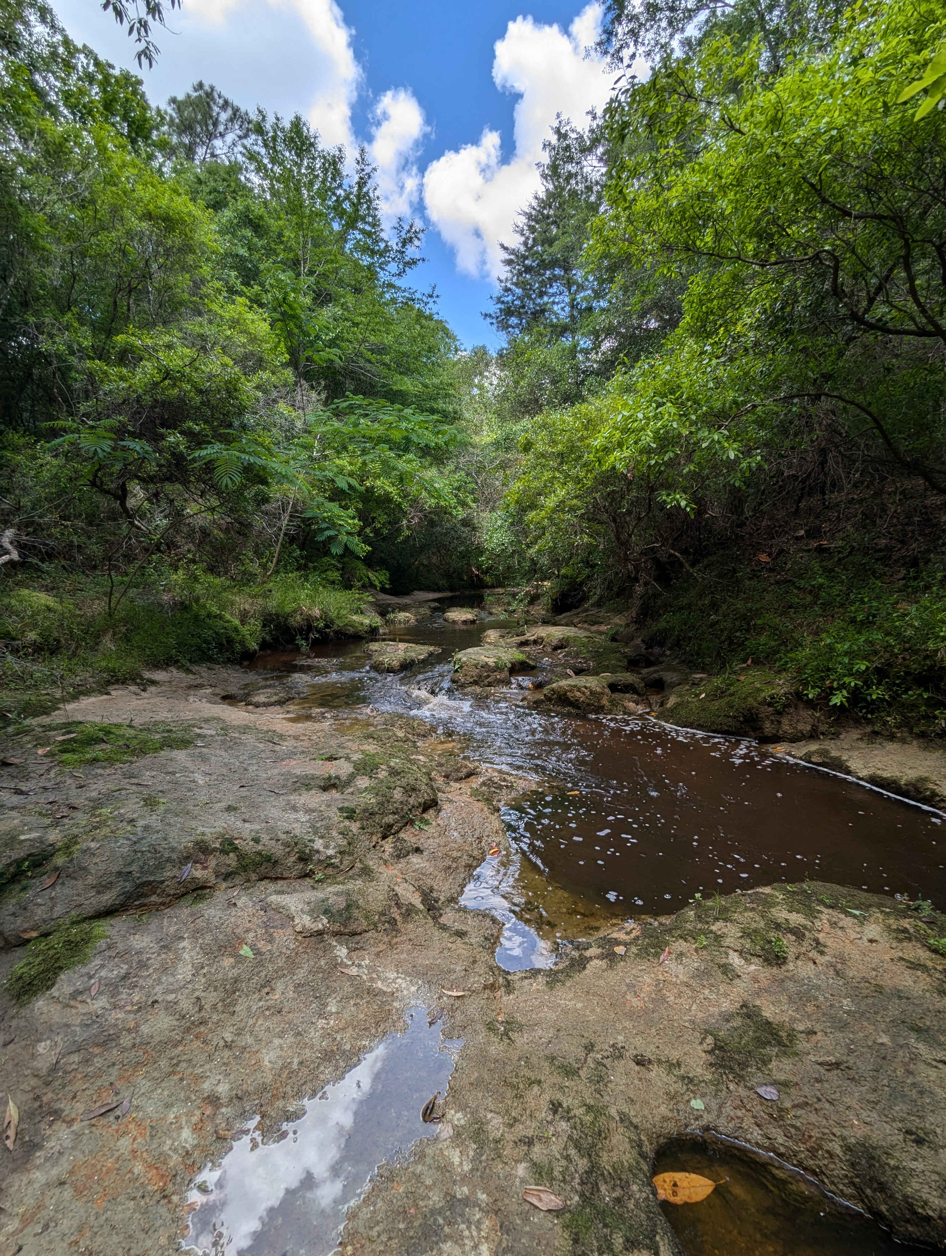 Take a hike...