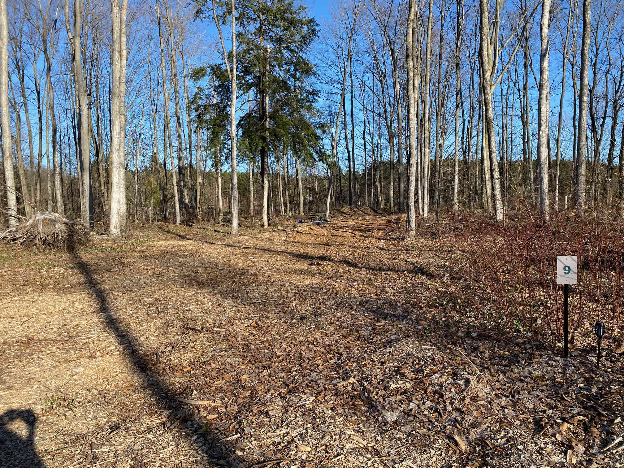 Mr. Joe's Campground