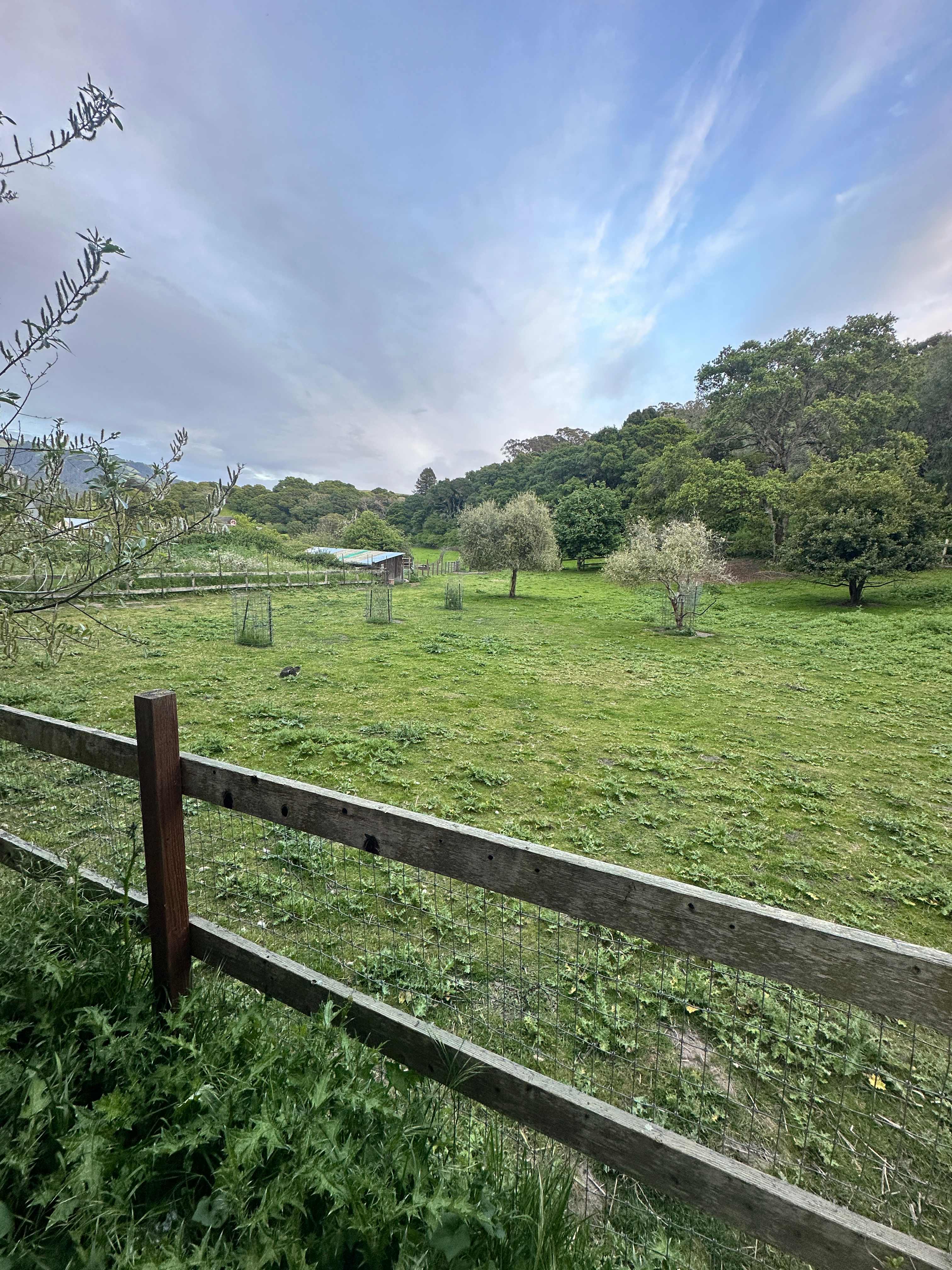 Blackberry Farm