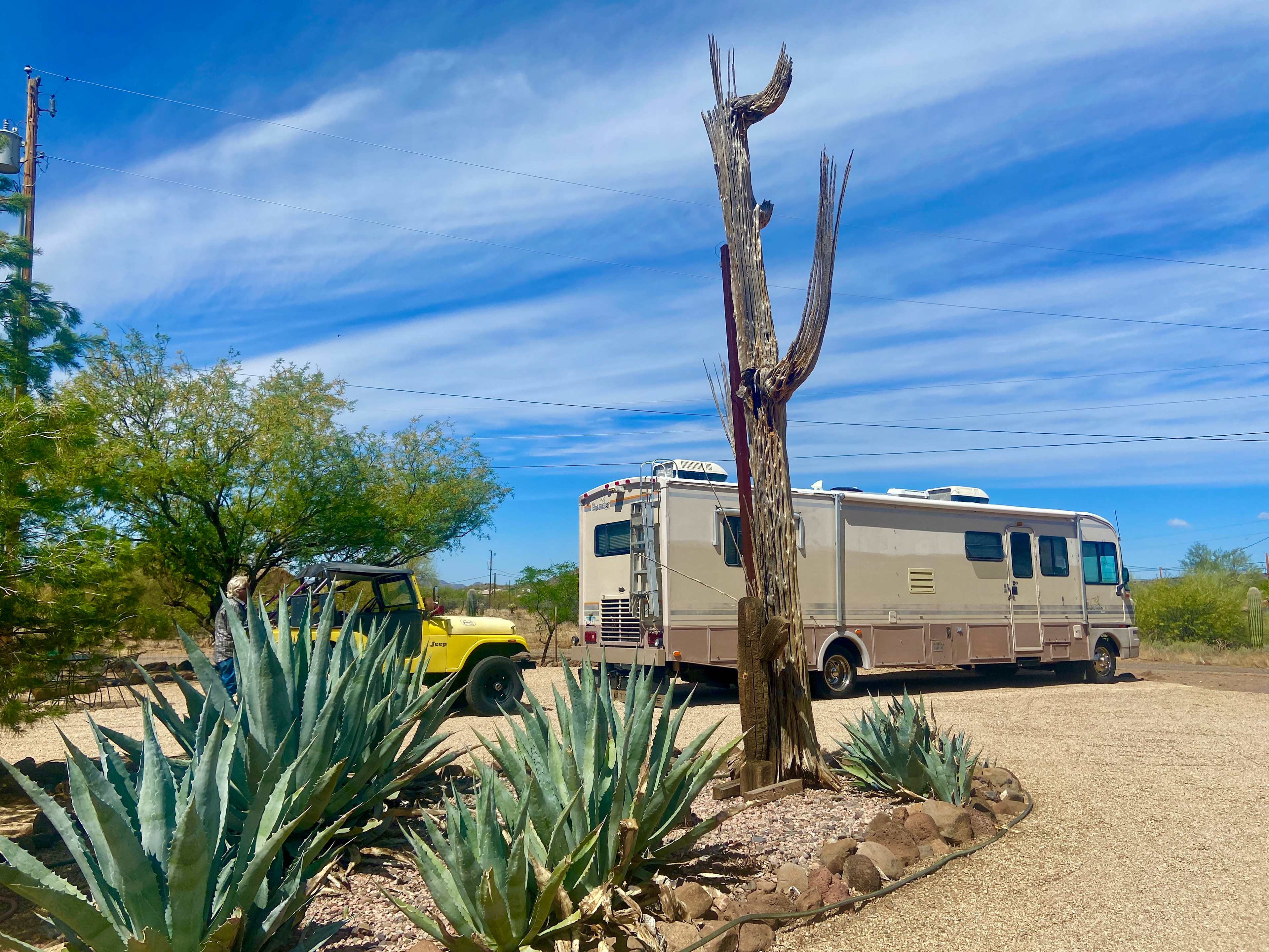 Saguaro Forrest @ Dragonfly Ranch