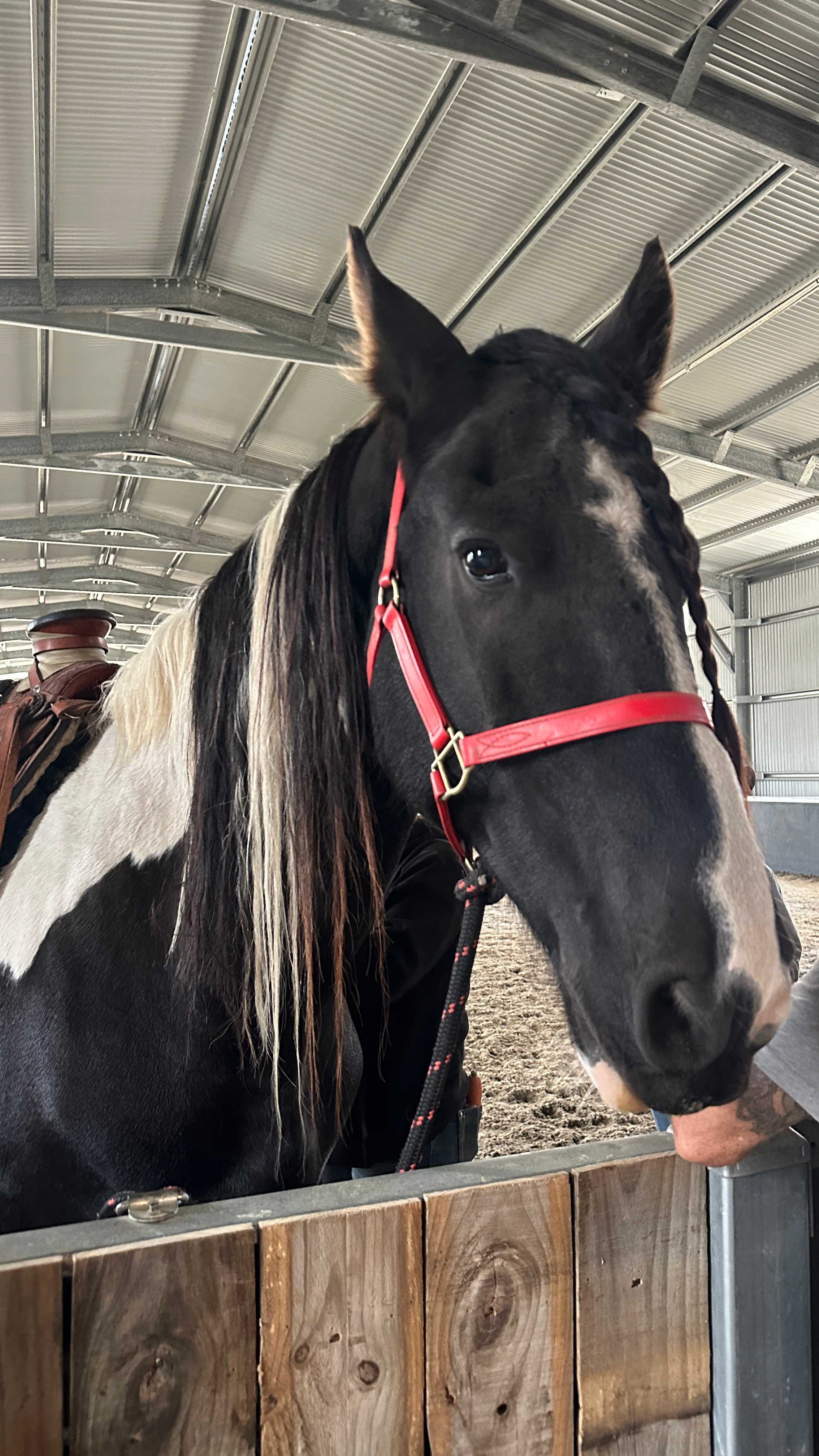 Wildcroft an Escape to the Country