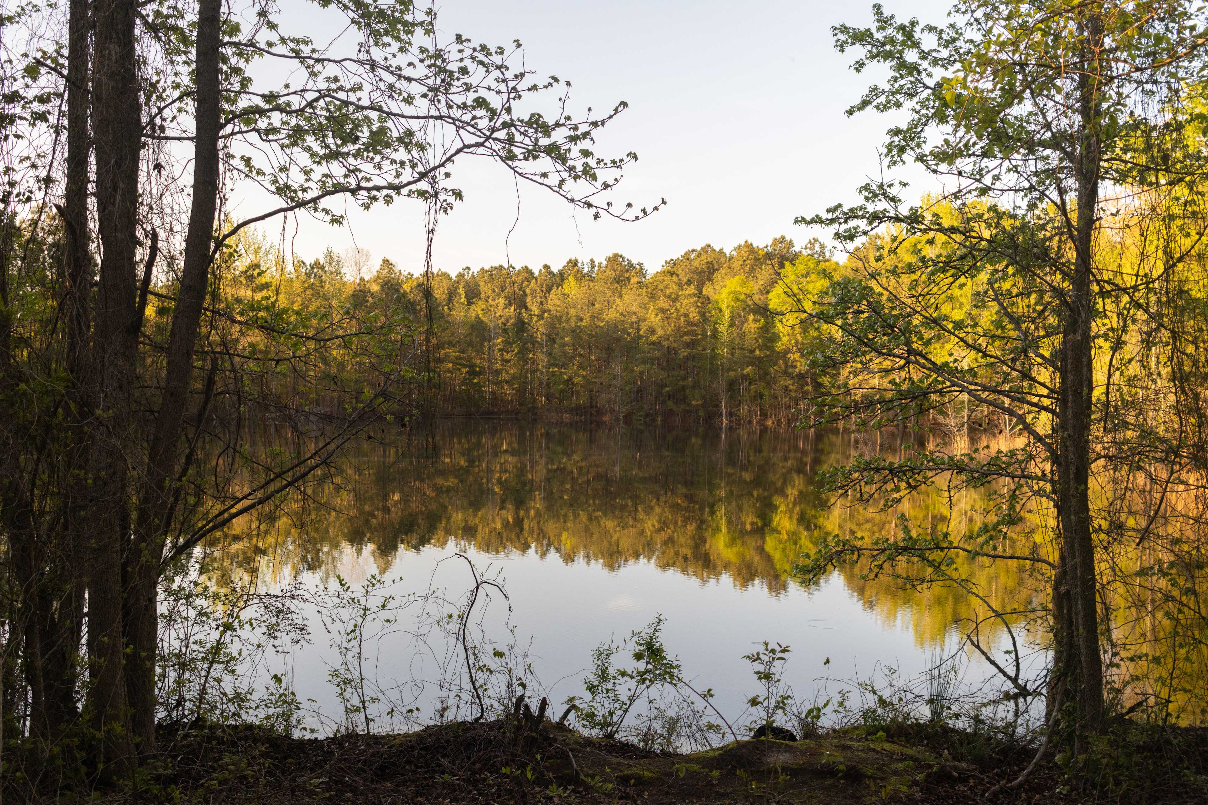 Scott’s Lakeview Camp and Park