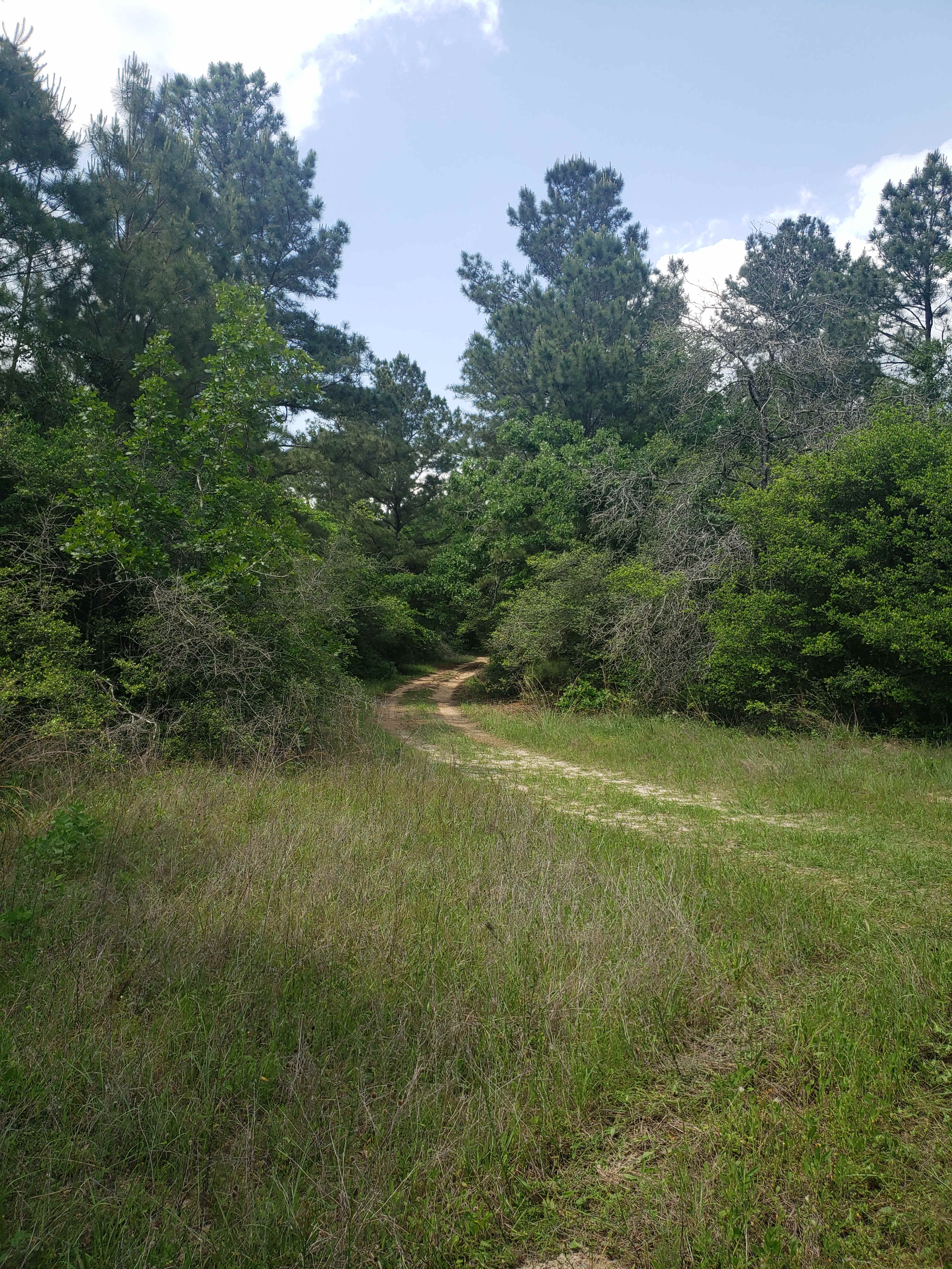 5D RANCH