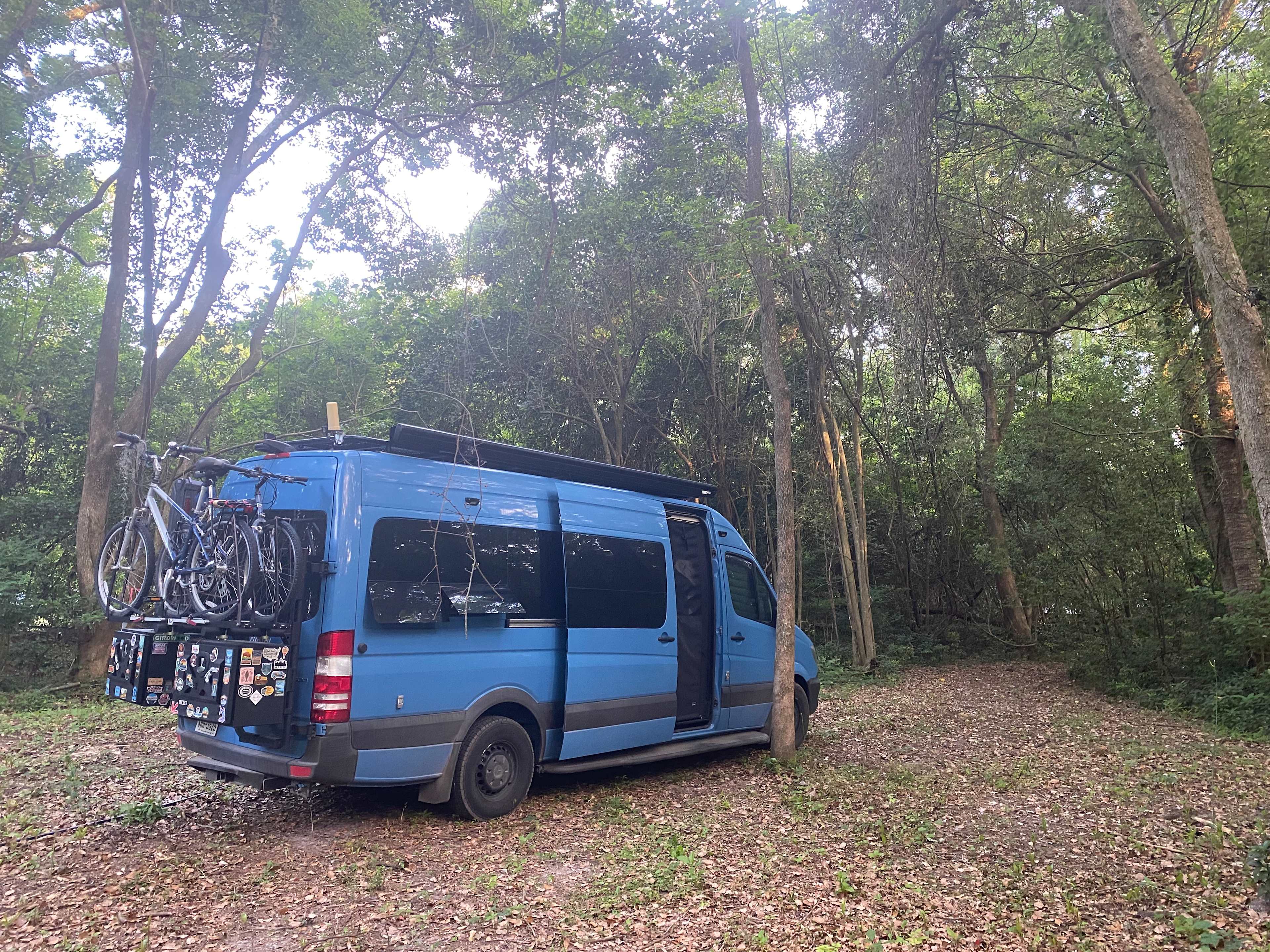 Magnolia Mountain
