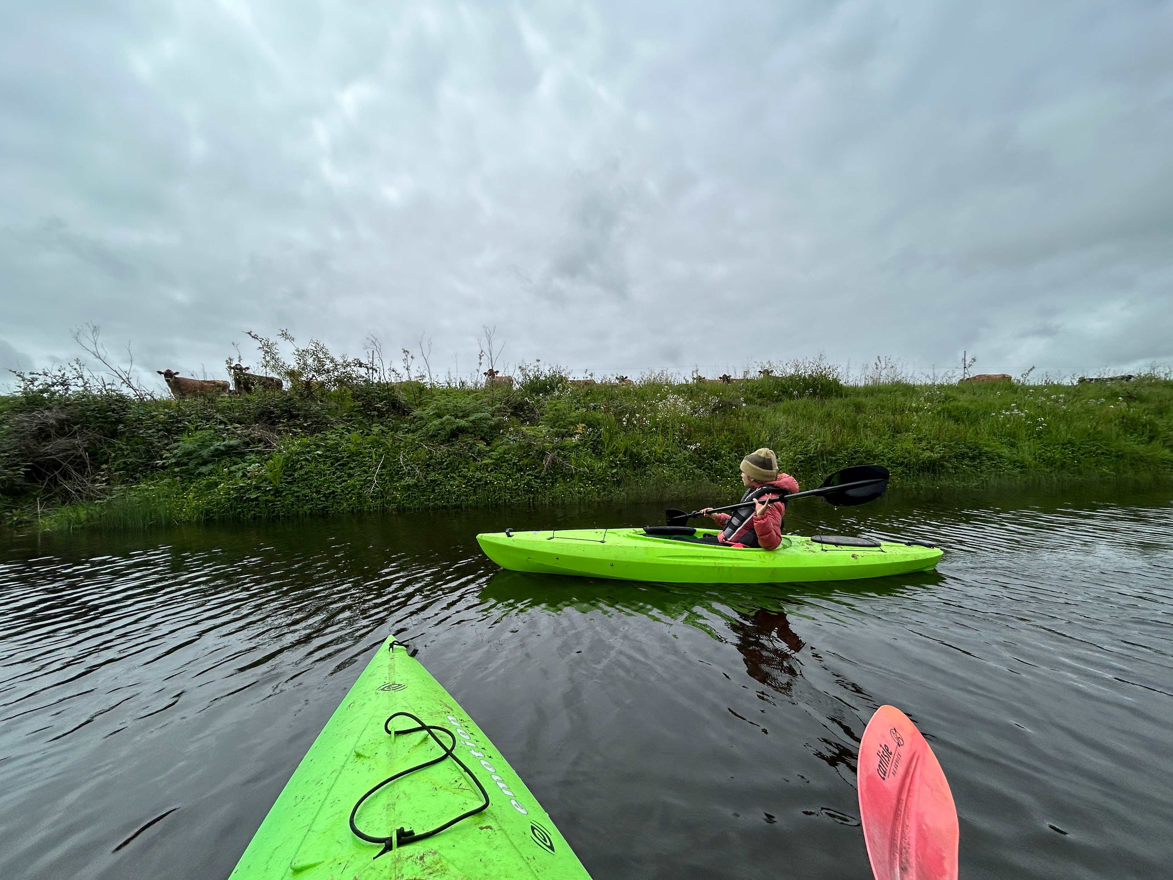 Kayaking Estero de San Antonio