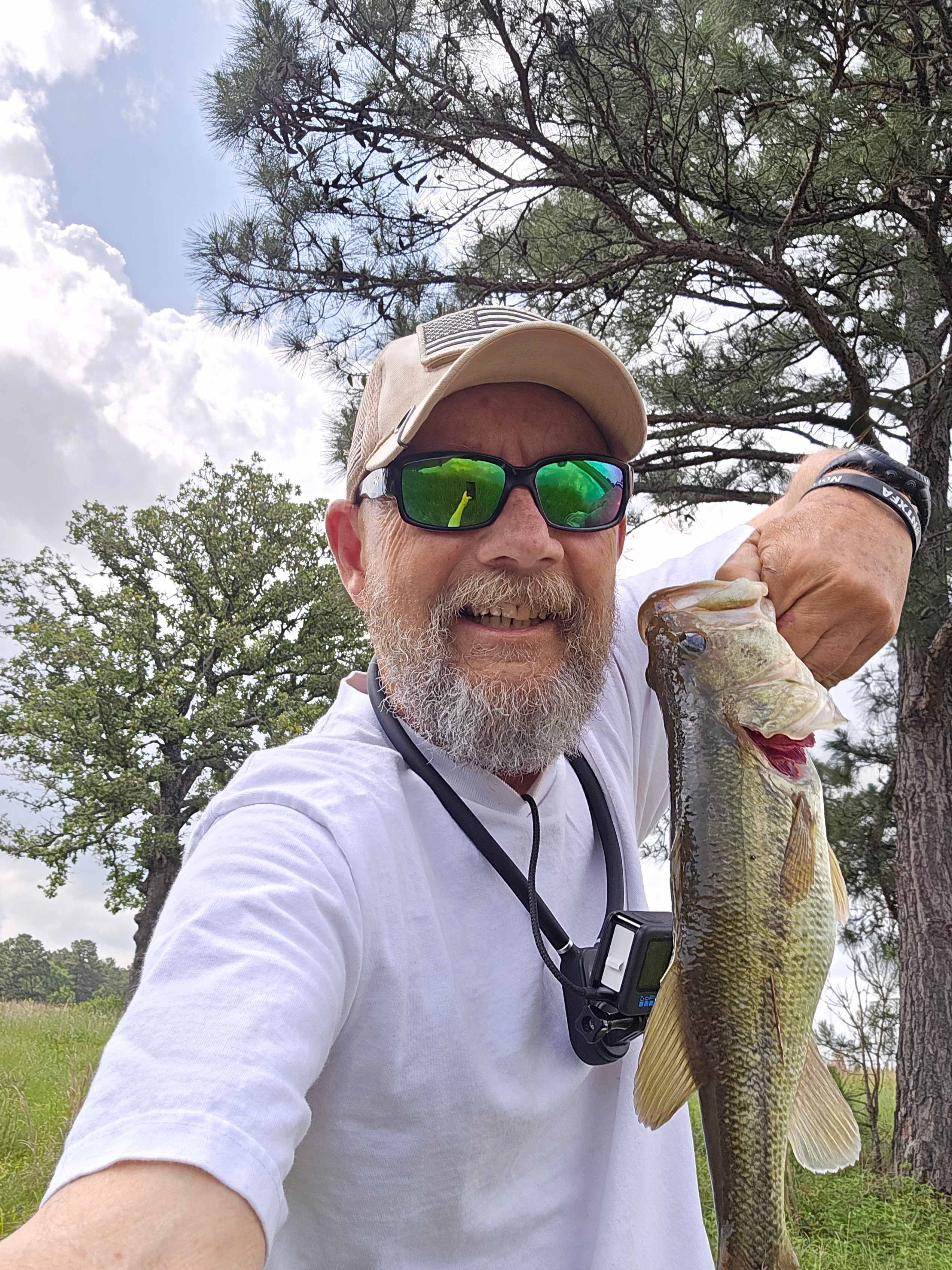 Largemouth bass 