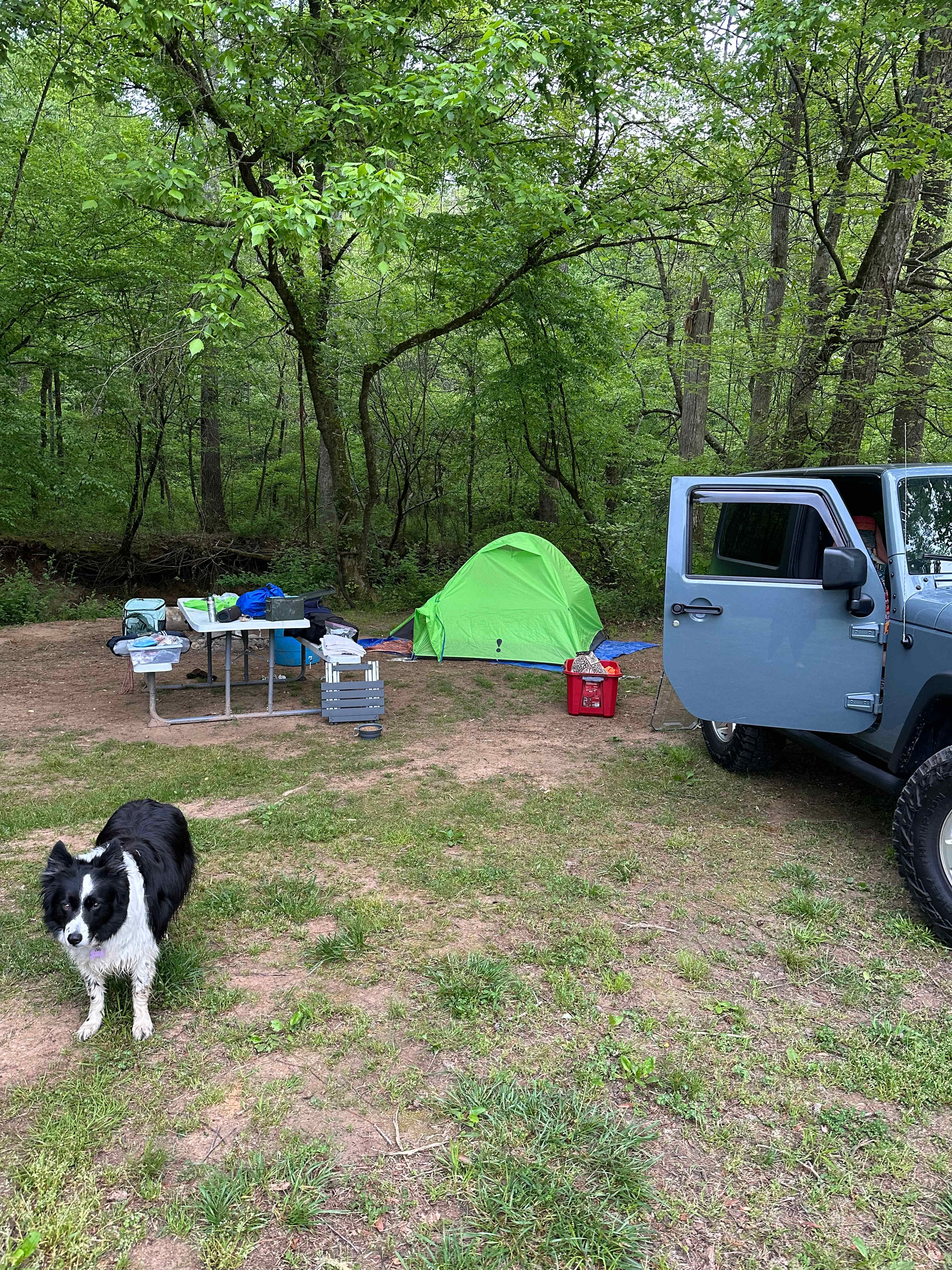 The Oasis at Harmon Creek Farms