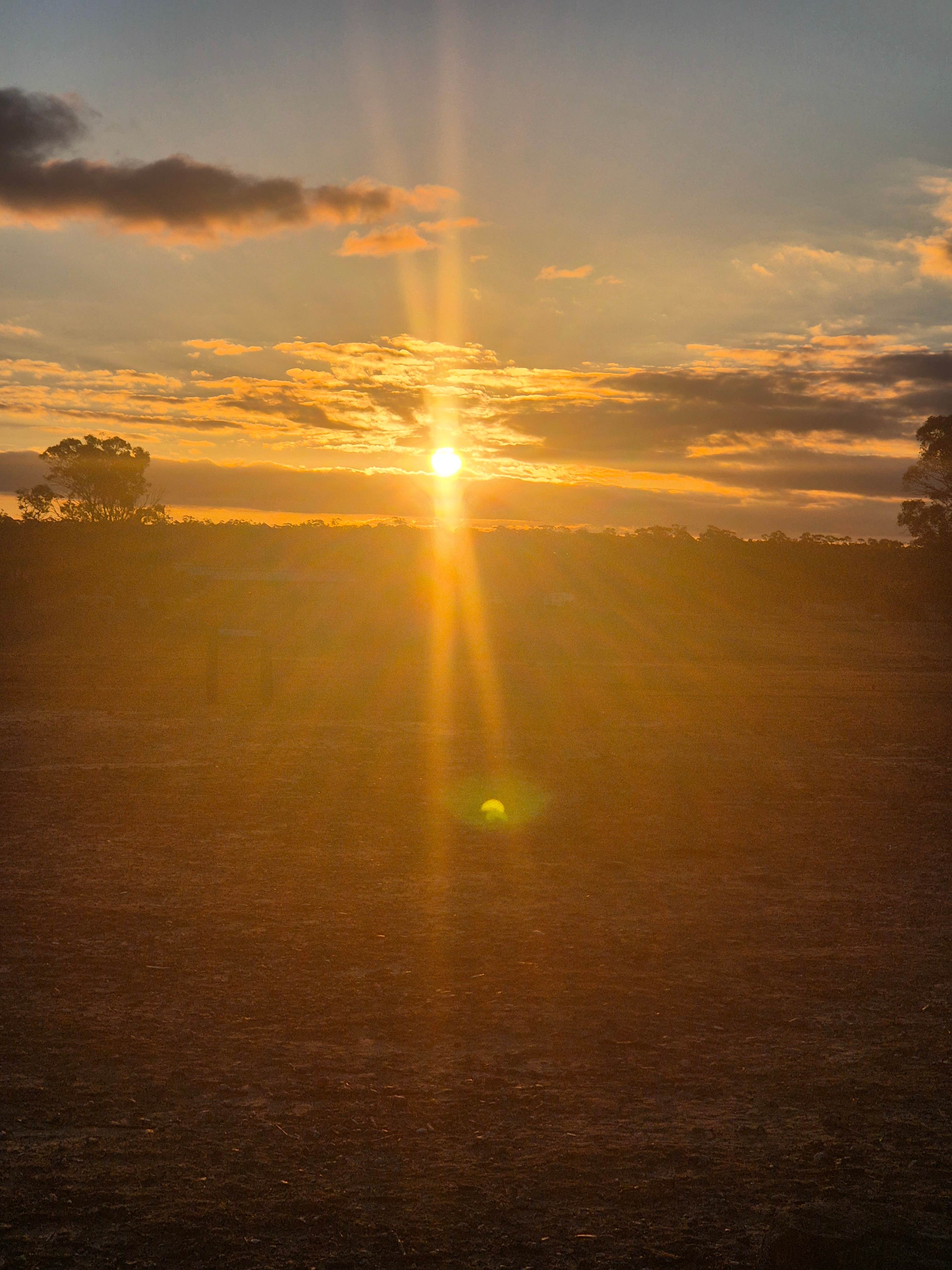 Somerville Park   (Bendigo)