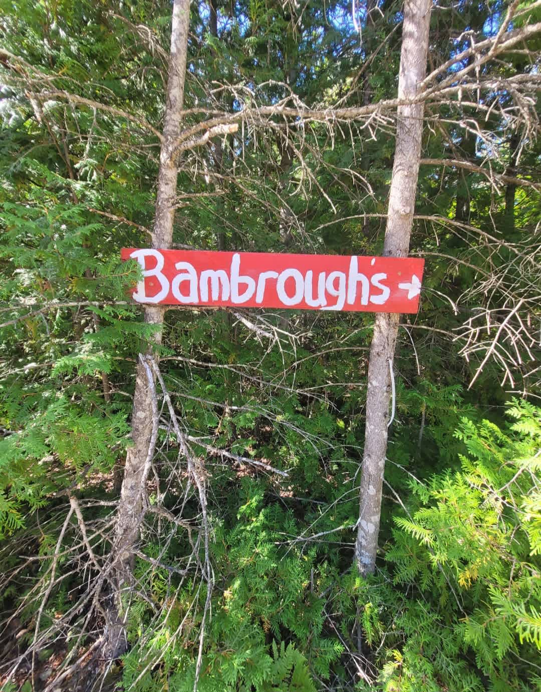 Bambrough's Camp