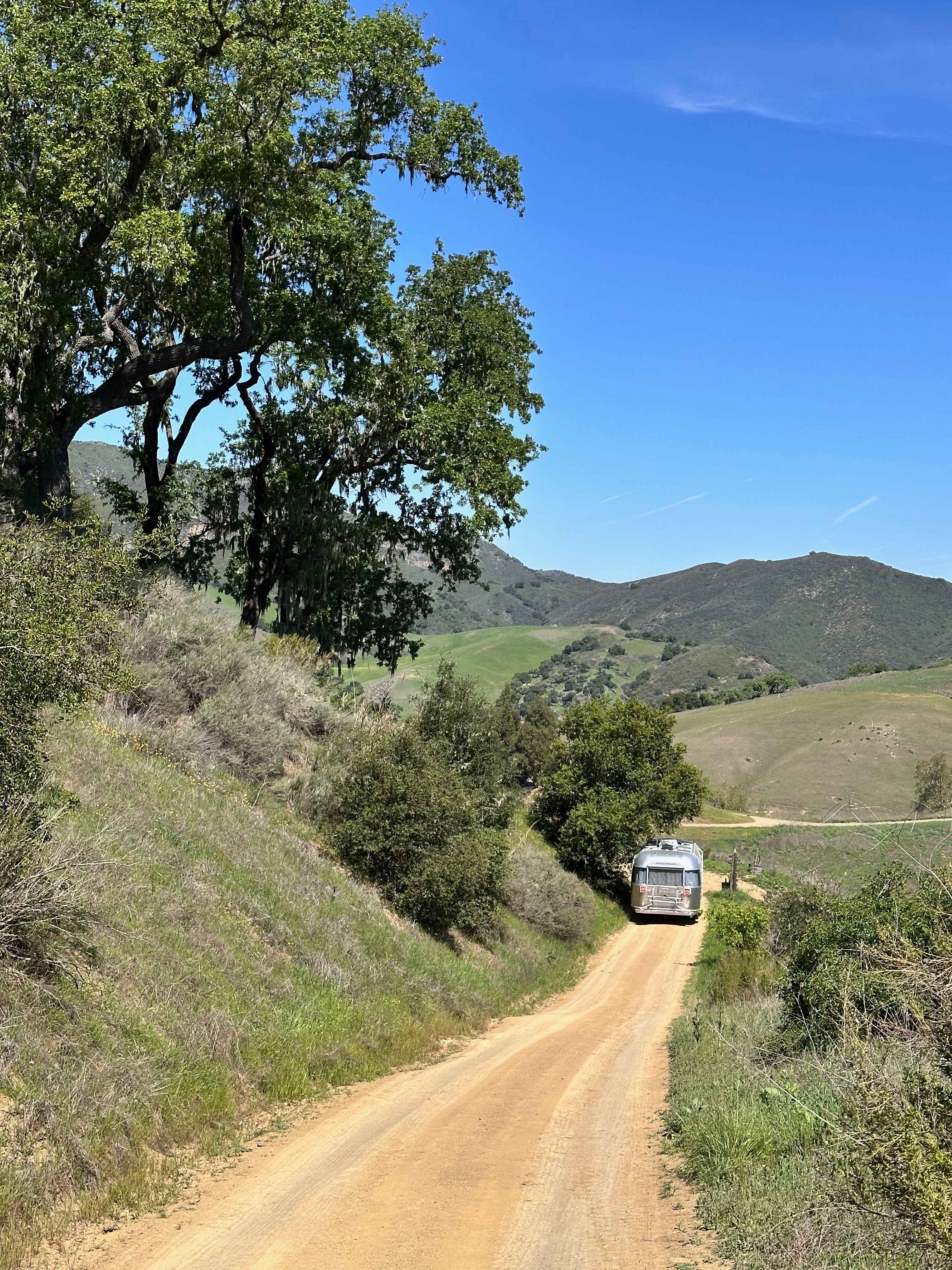 Freedog Farms @ Cactus Flower Ranch
